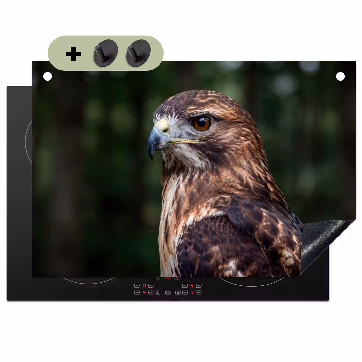 Buizerd - Roofvogel - Natuur - Bruin Inductie beschemer met haakjes klein -3d