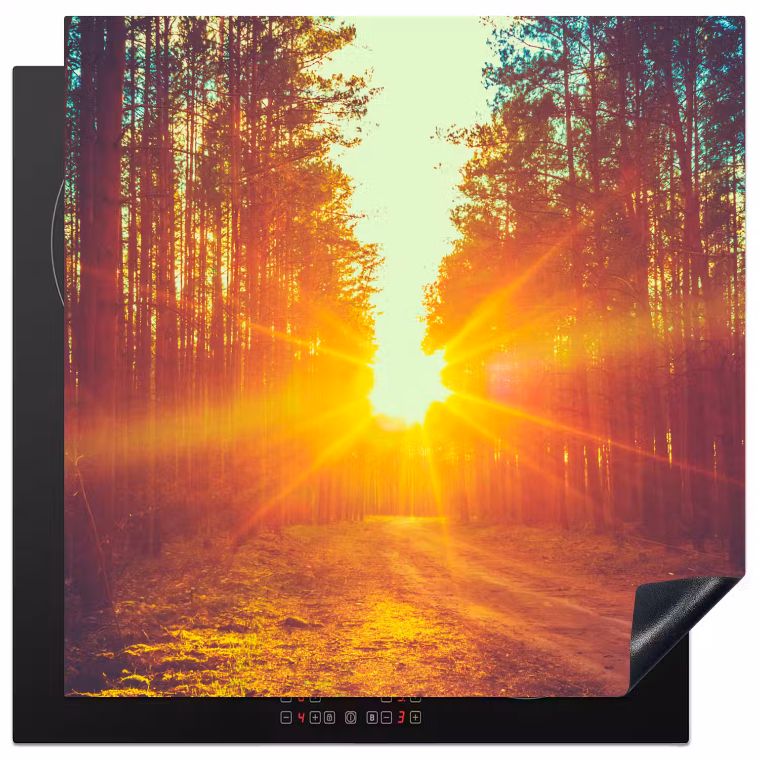 Zonsondergang - Bomen - Bos - Natuur Inductie beschermer vinyl 3mm middel -3d
