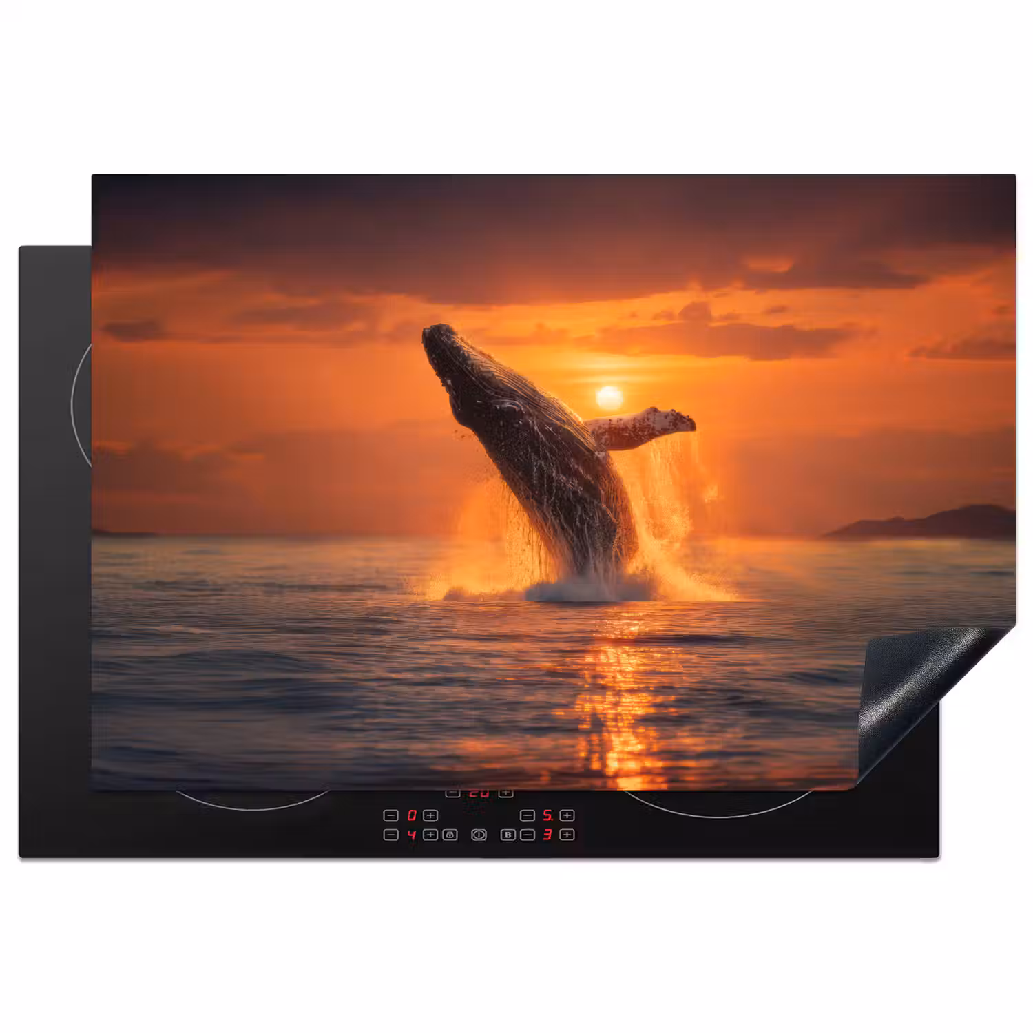 Walvis - Zon - Zee Inductie beschermer vinyl 3mm klein -3d