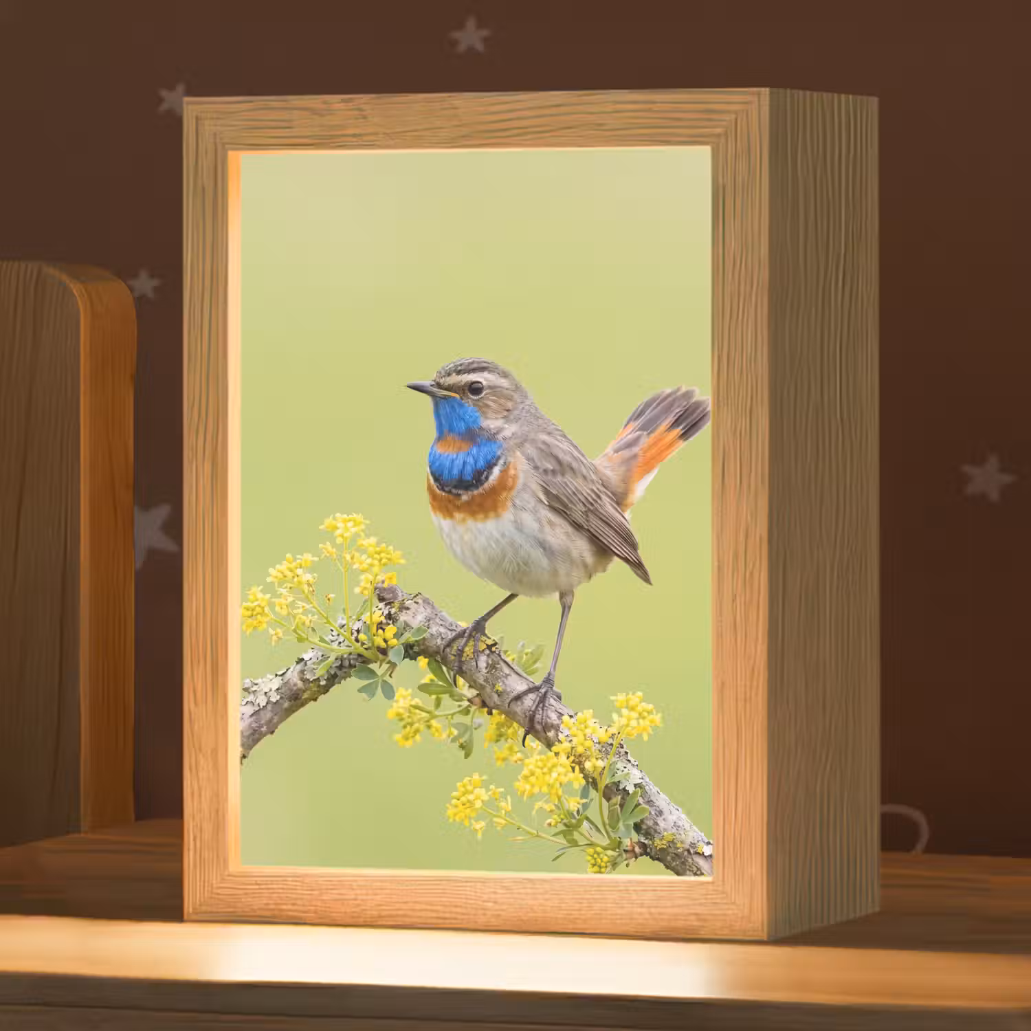 Vogel - Tak - Natuur - Kleurrijk Light Box met kabel (Kinderlampje) klein -zzz_3d_website