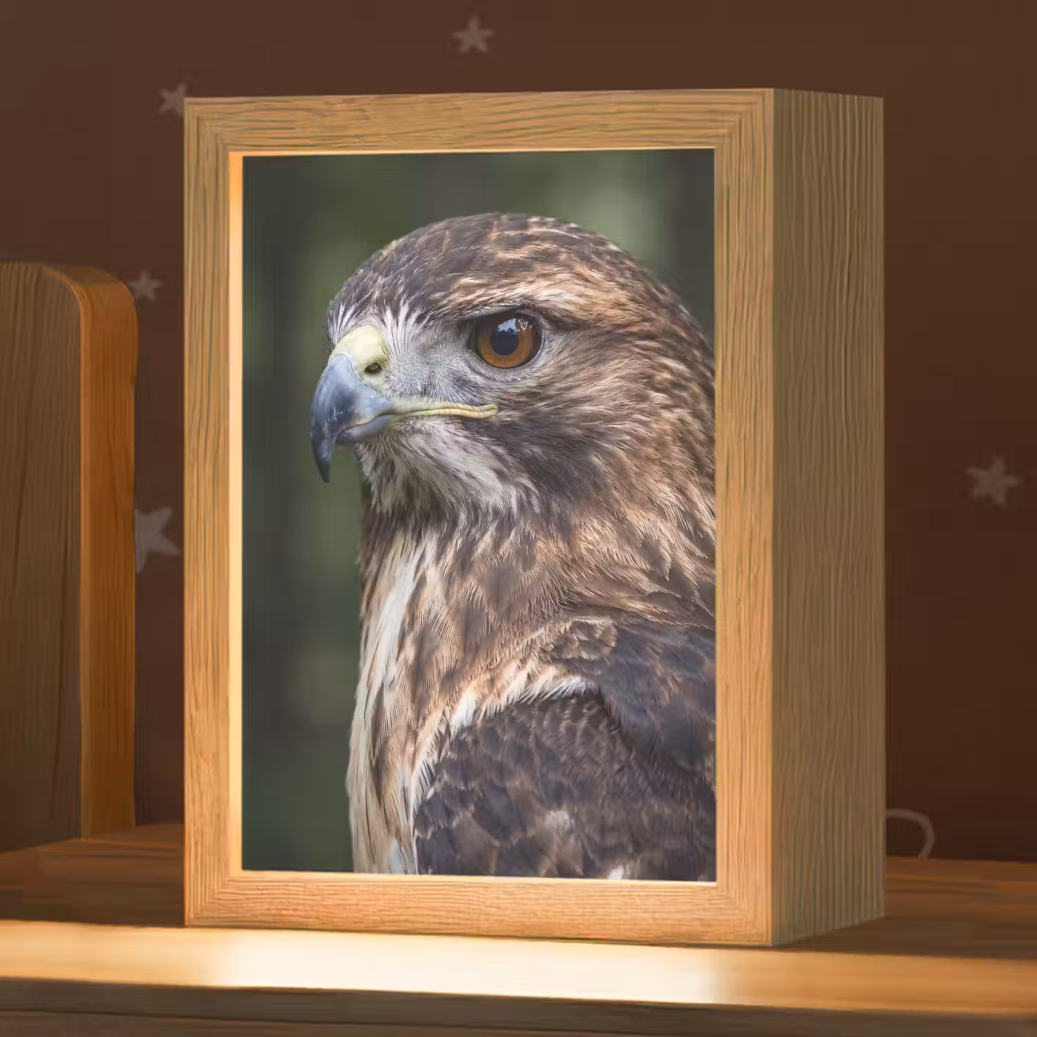 Buizerd - Roofvogel - Natuur - Bruin Light Box met kabel (Kinderlampje) klein -zzz_3d_website