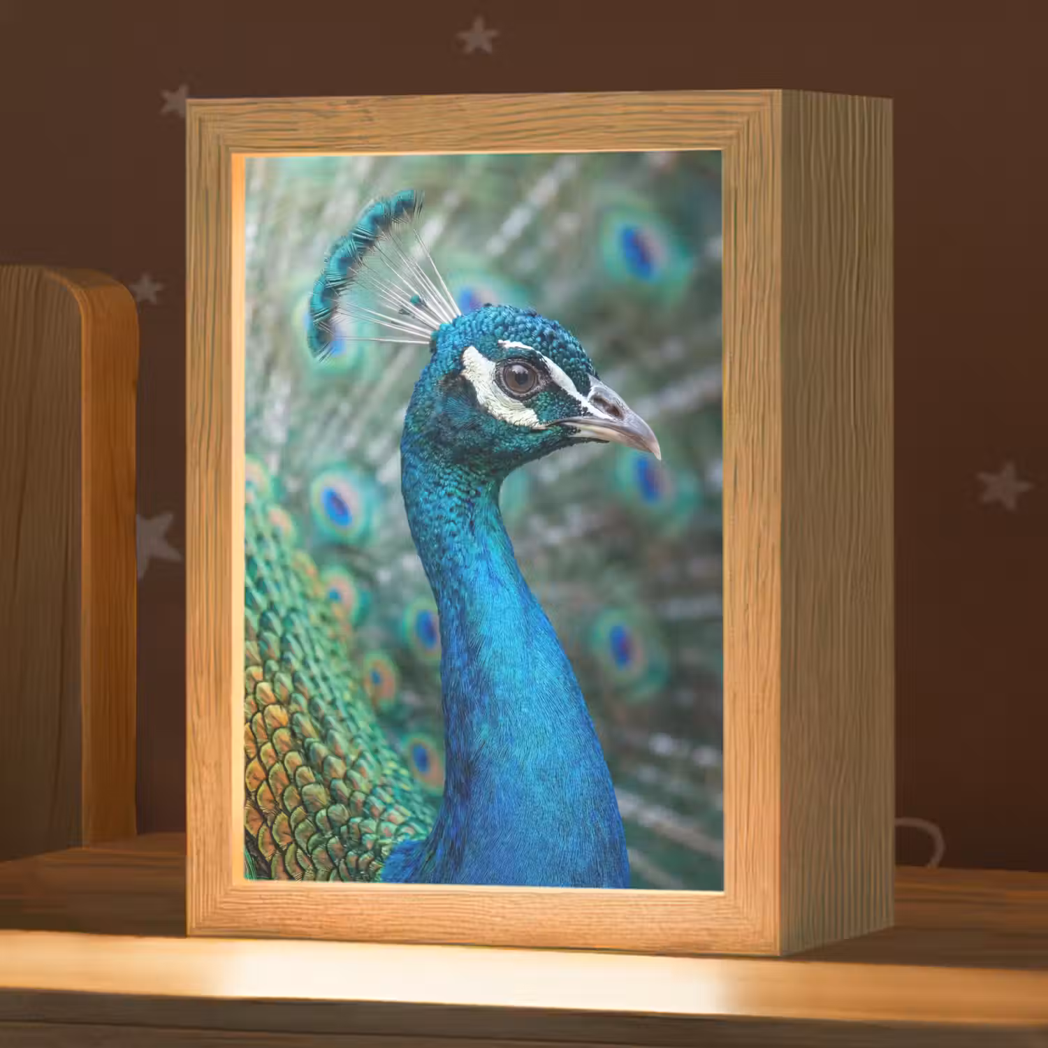 Pauw - Veren - Blauw Light Box met kabel (Kinderlampje) klein -zzz_3d_website