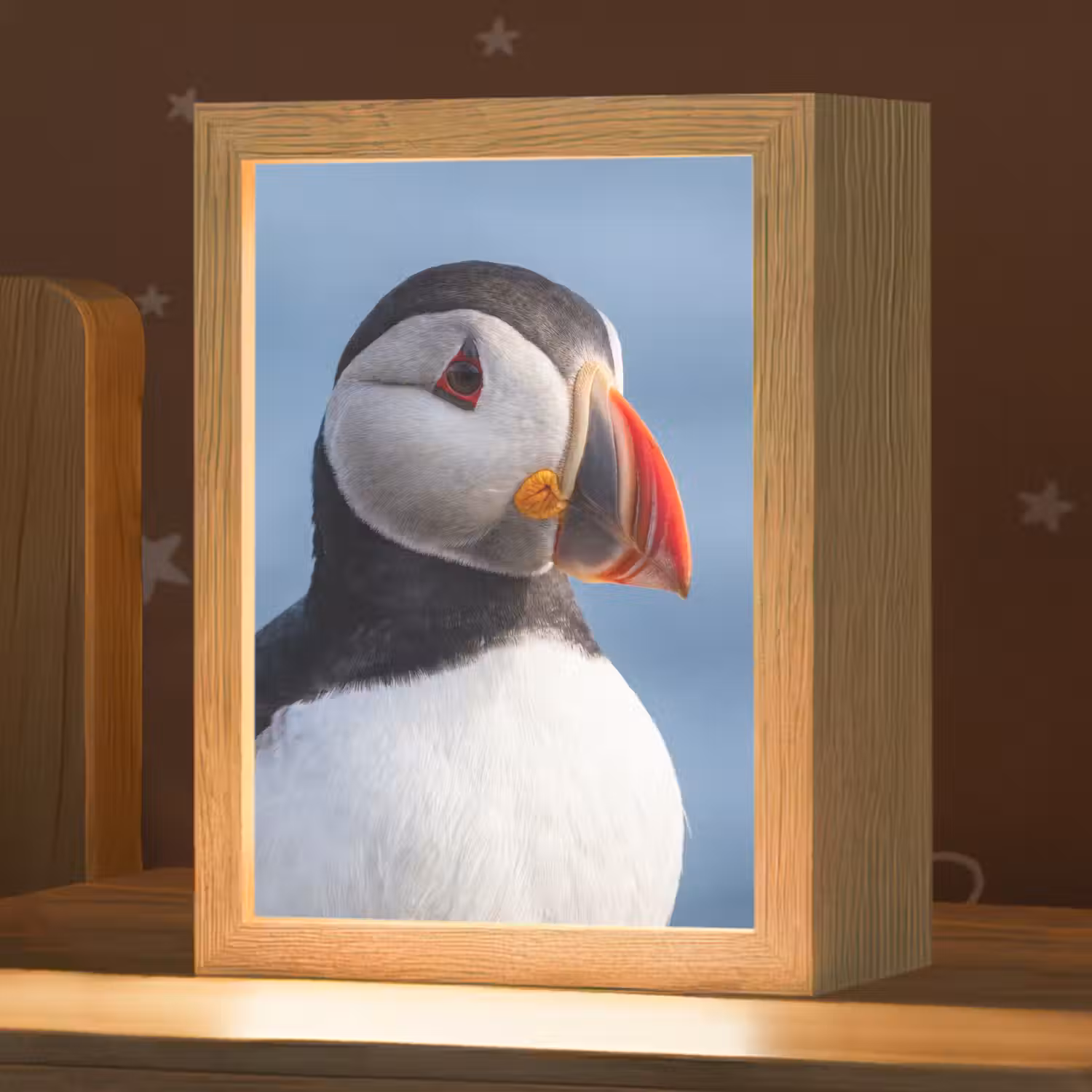 Papegaaiduiker - Portret - Natuur Light Box met kabel (Kinderlampje) klein -zzz_3d_website
