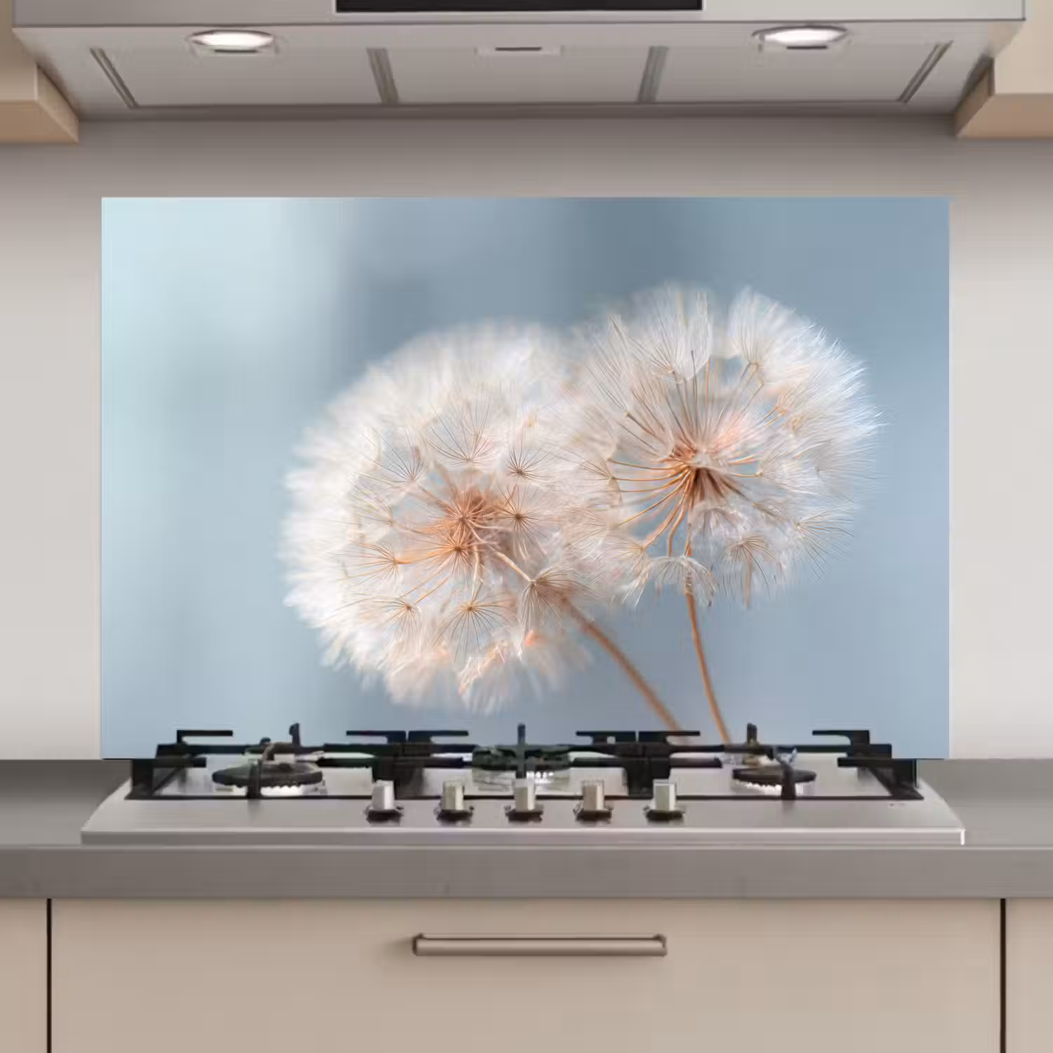 Paardenbloemen - Pluisjes - Wit keuken achterwand spatscherm klein -3d_website