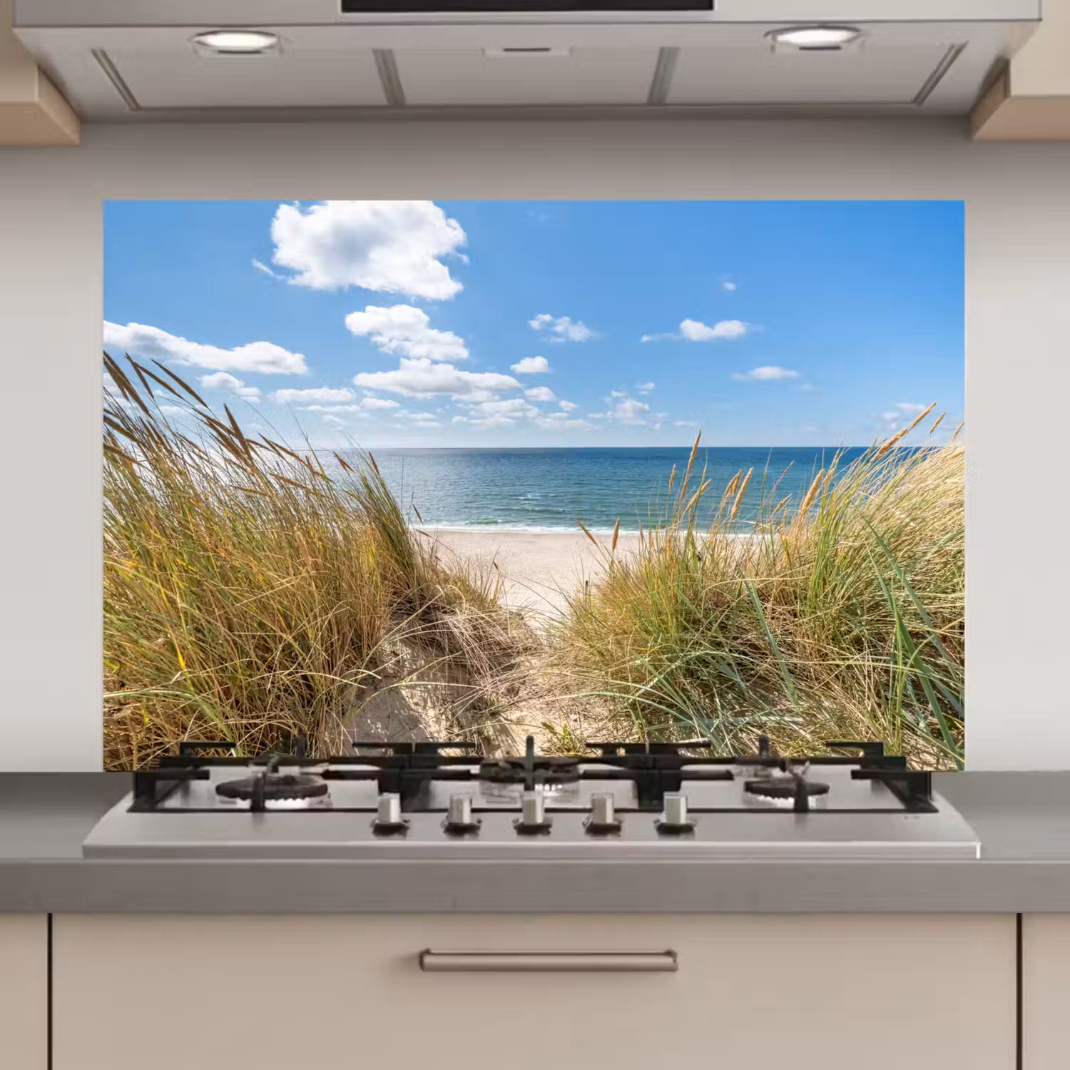 Duin - Gras - Zee - Strand keuken achterwand spatscherm klein -3d_website