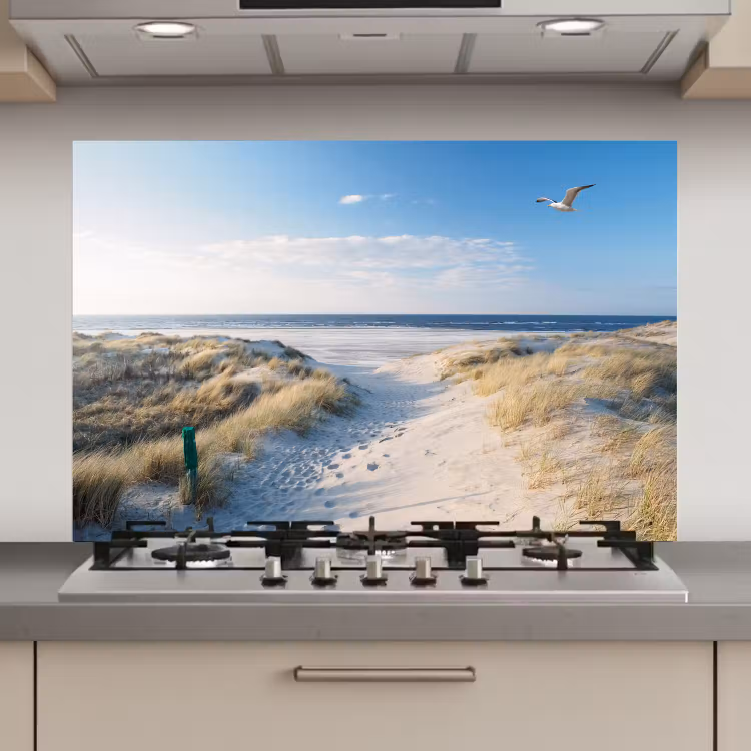 Duin - Meeuw - Strand - Zee - Zon keuken achterwand spatscherm klein -3d_website