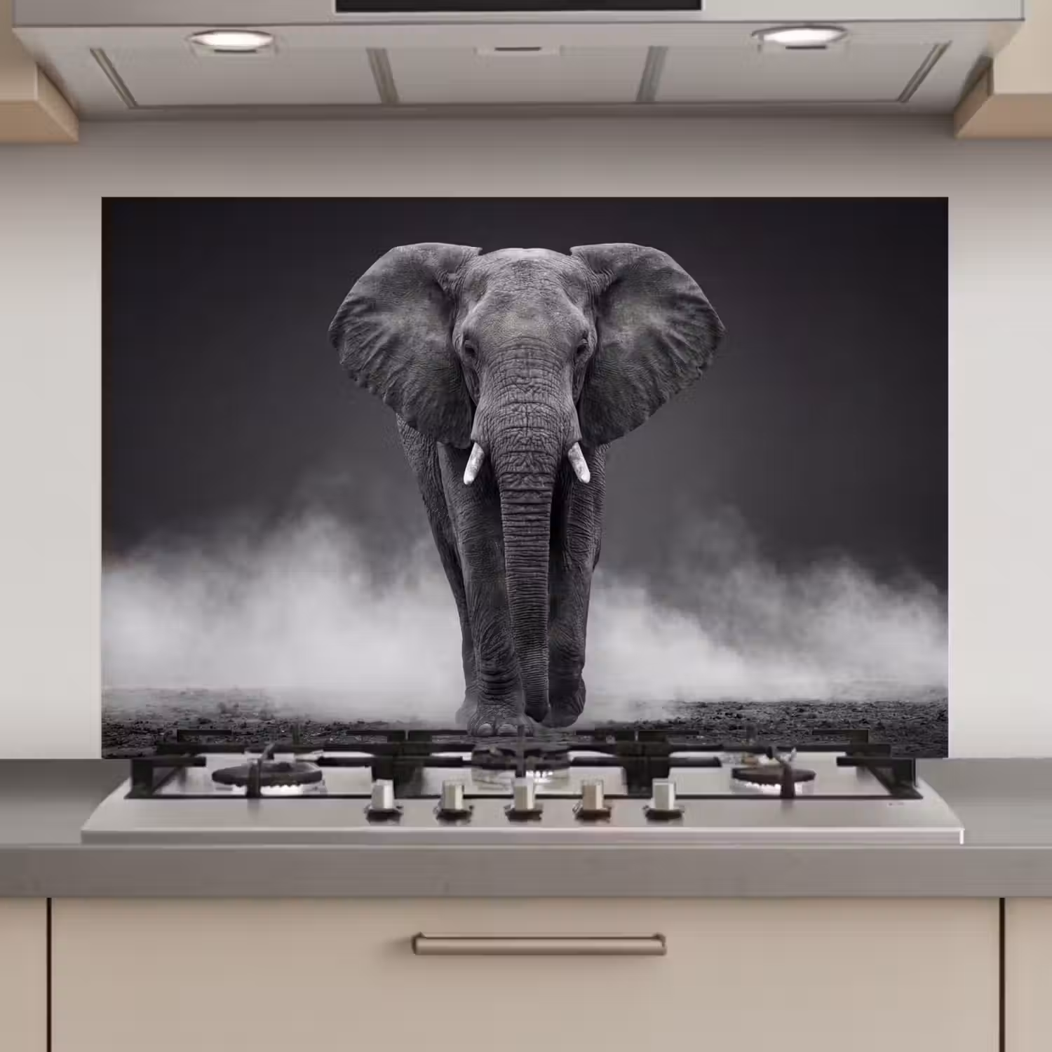 Olifant - Zwart - Wit - Rook keuken achterwand spatscherm klein -3d_website