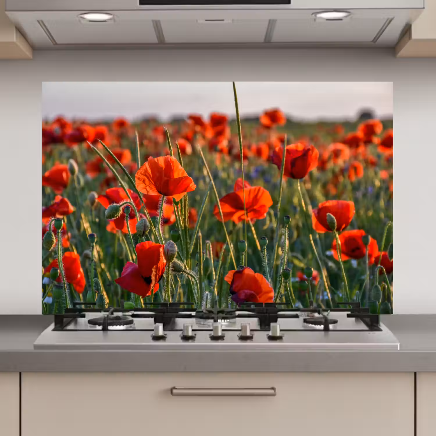 Bloemen - Klaprozen - Natuur - Rood keuken achterwand spatscherm klein -3d_website