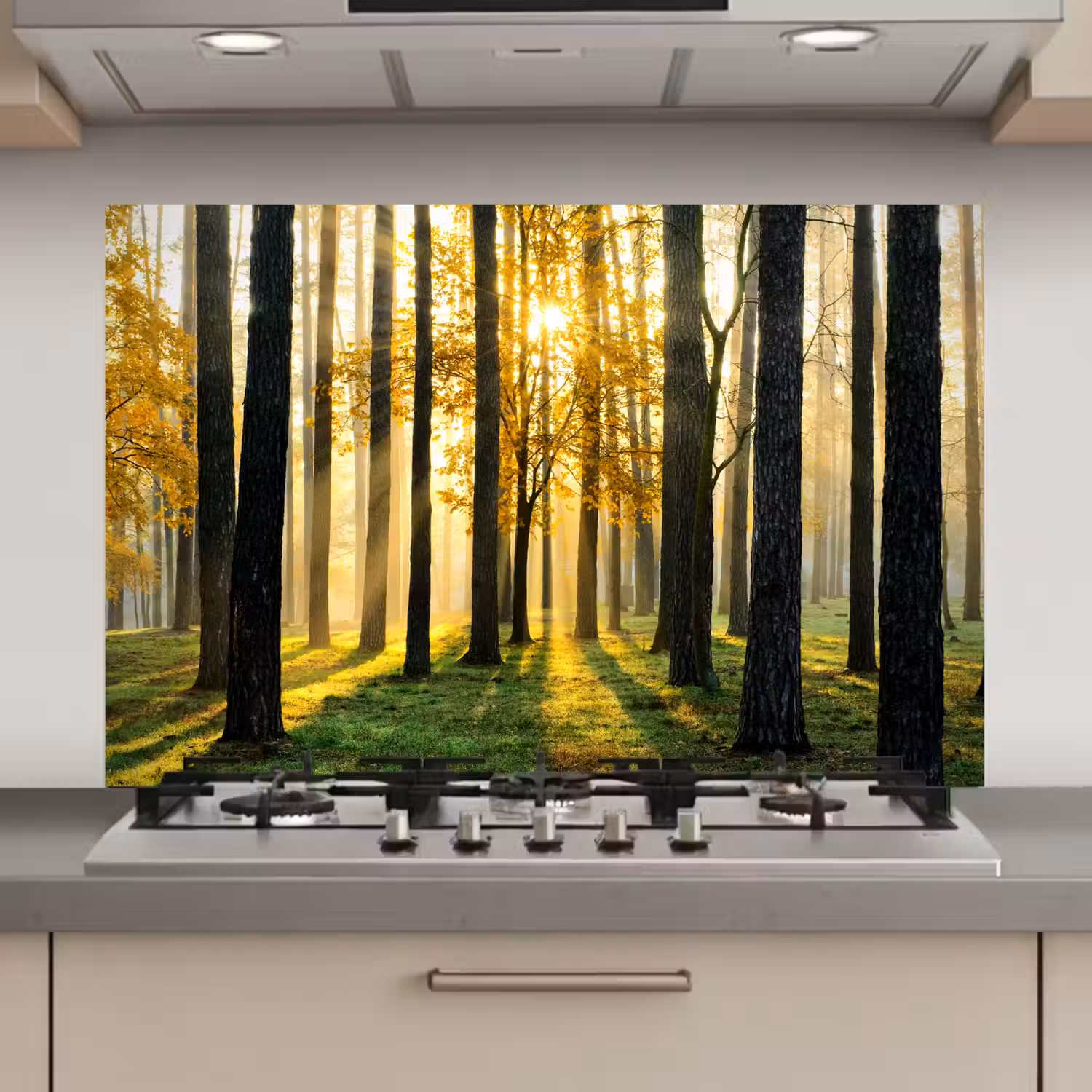 Bos - Zon - Bomen - Gras - Landschap - Natuur keuken achterwand spatscherm klein -3d_website
