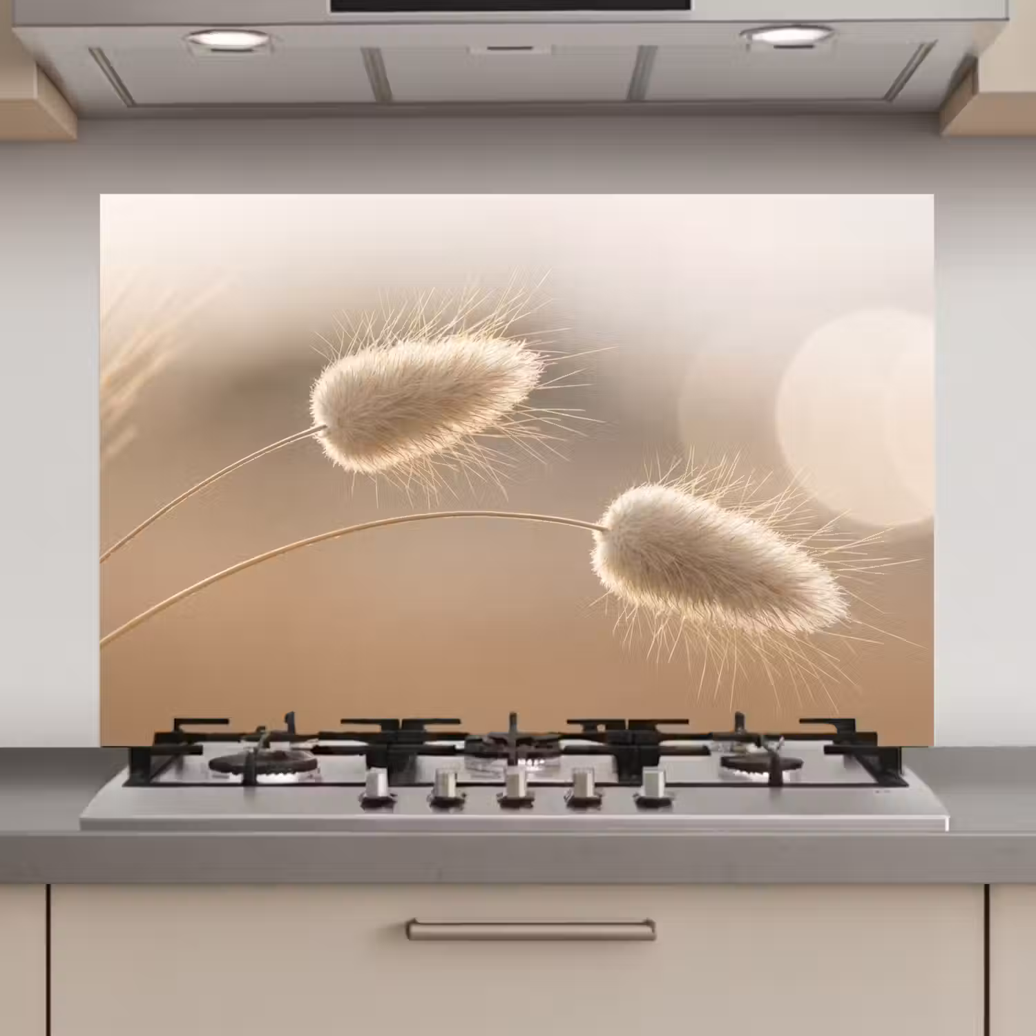 Hazestaartgras - Graanharen - Zonlicht keuken achterwand spatscherm klein -3d_website