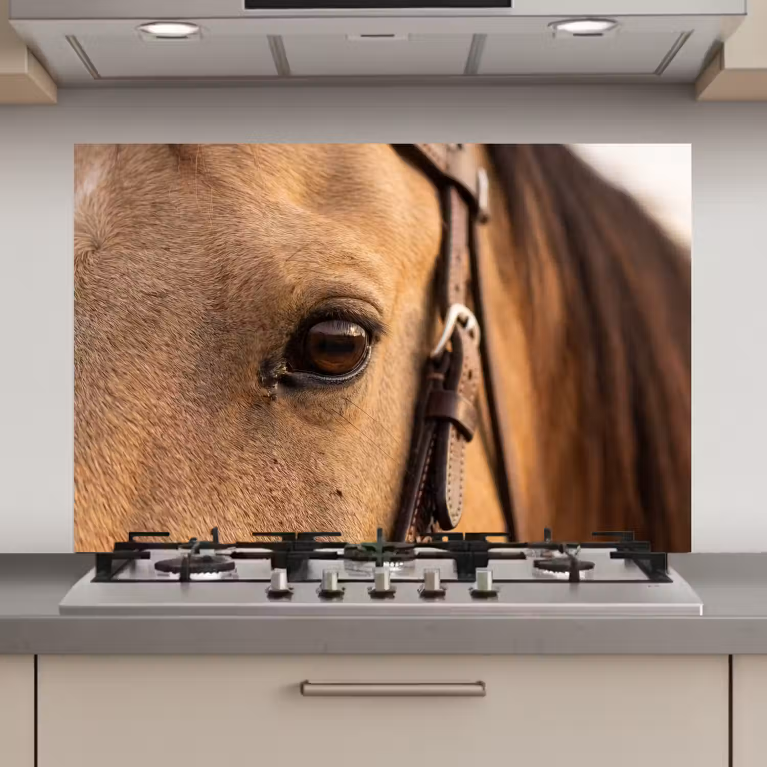 Paard - Oog - Bruin keuken achterwand spatscherm klein -3d_website