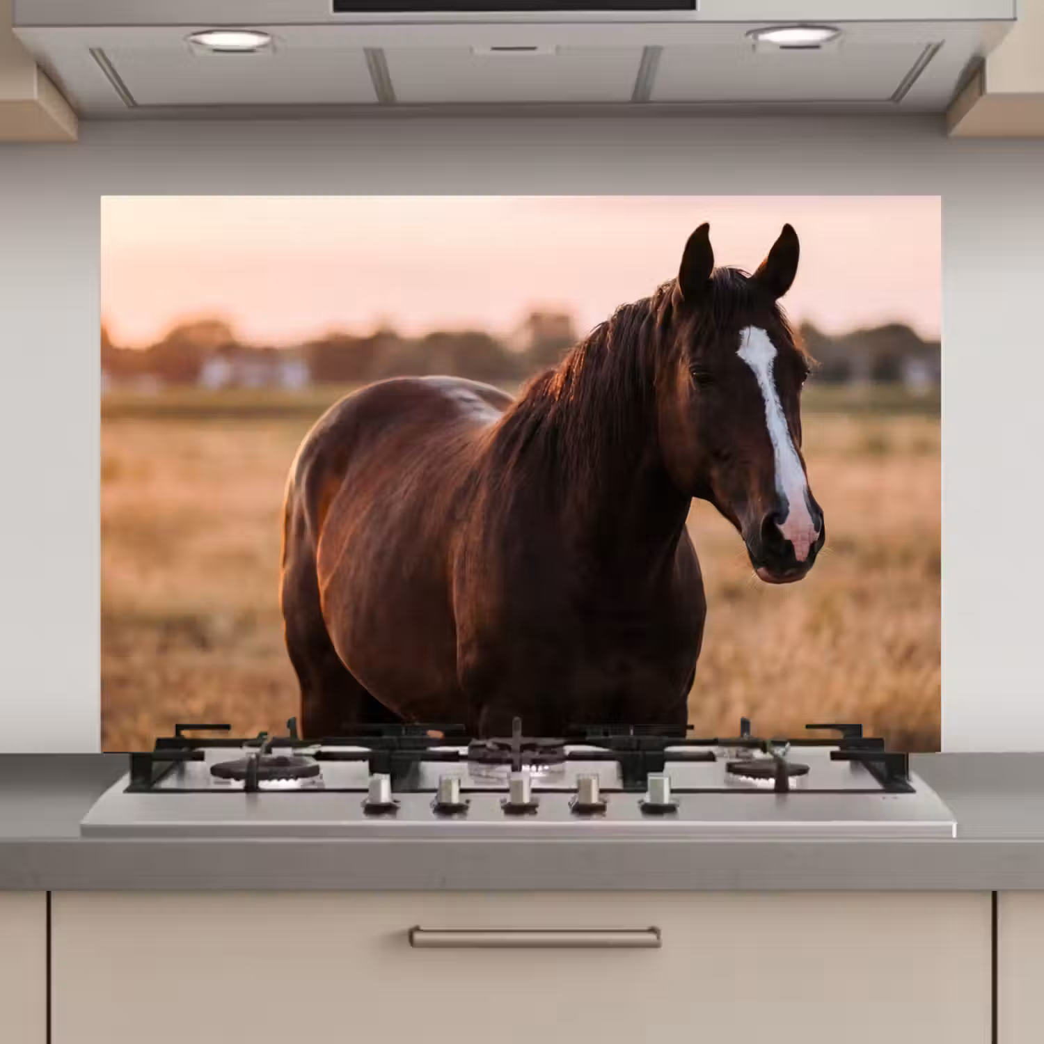 Paard - Zonsondergang - Bruin keuken achterwand spatscherm klein -3d_website