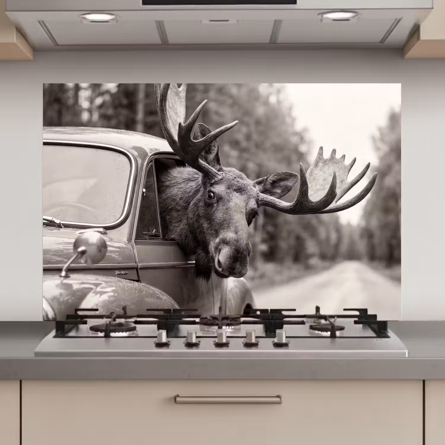 Eland - Auto - Gewei - Zwart - Wit keuken achterwand spatscherm klein -3d_website