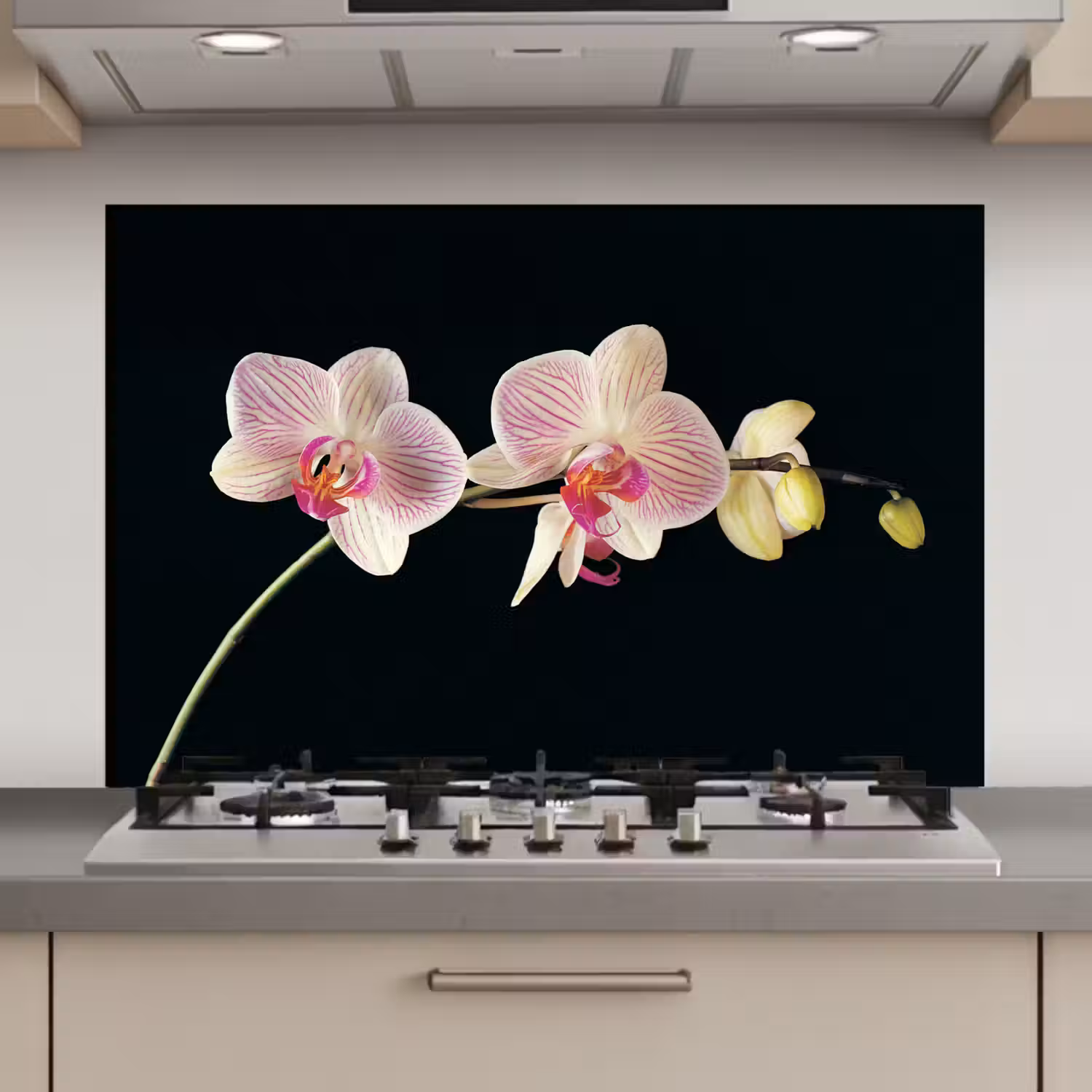 Orchidee - Bloemen - Zwart - Roze - Knoppen keuken achterwand spatscherm klein -3d_website