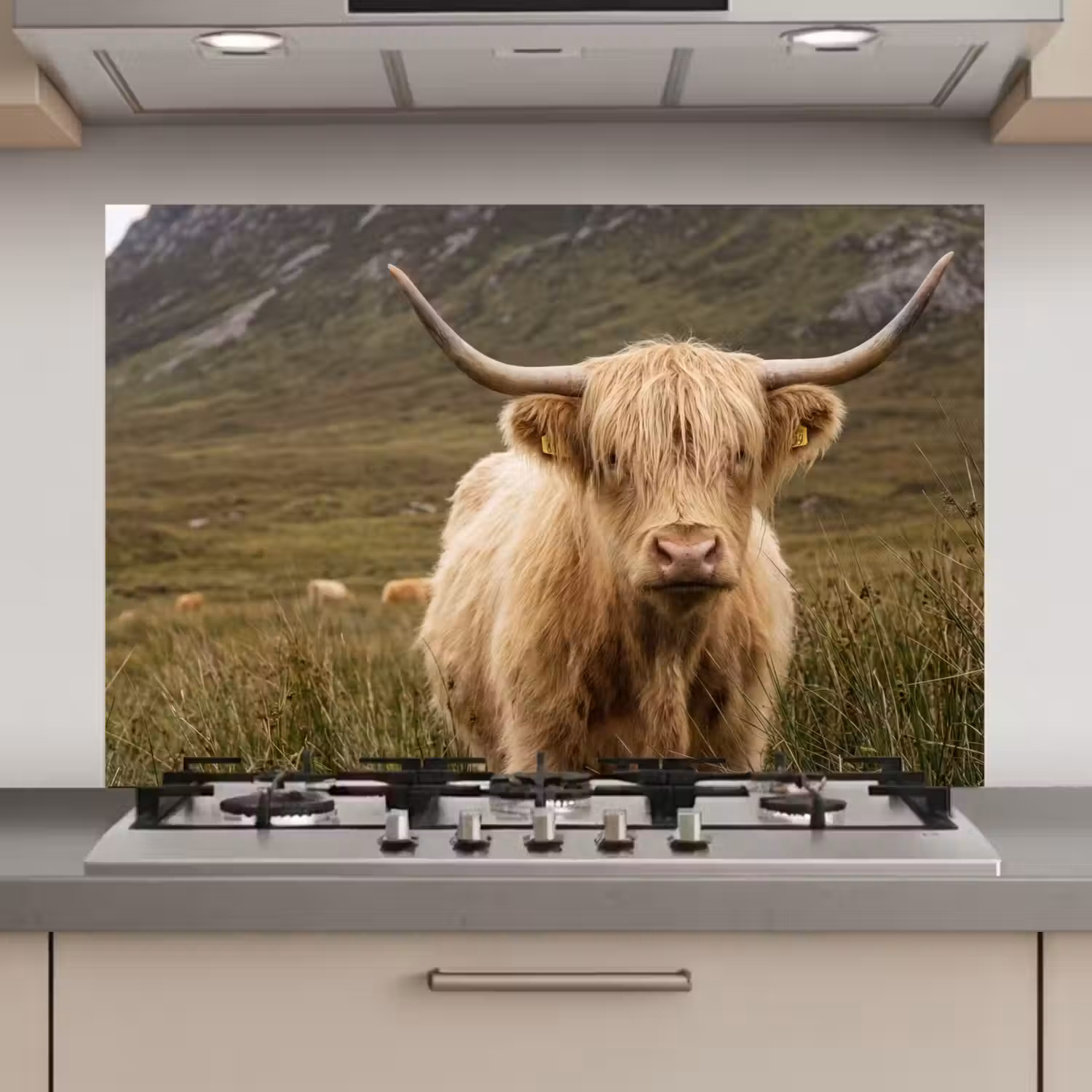 Schotse hooglander - Bergen - Grasveld keuken achterwand spatscherm klein -3d_website