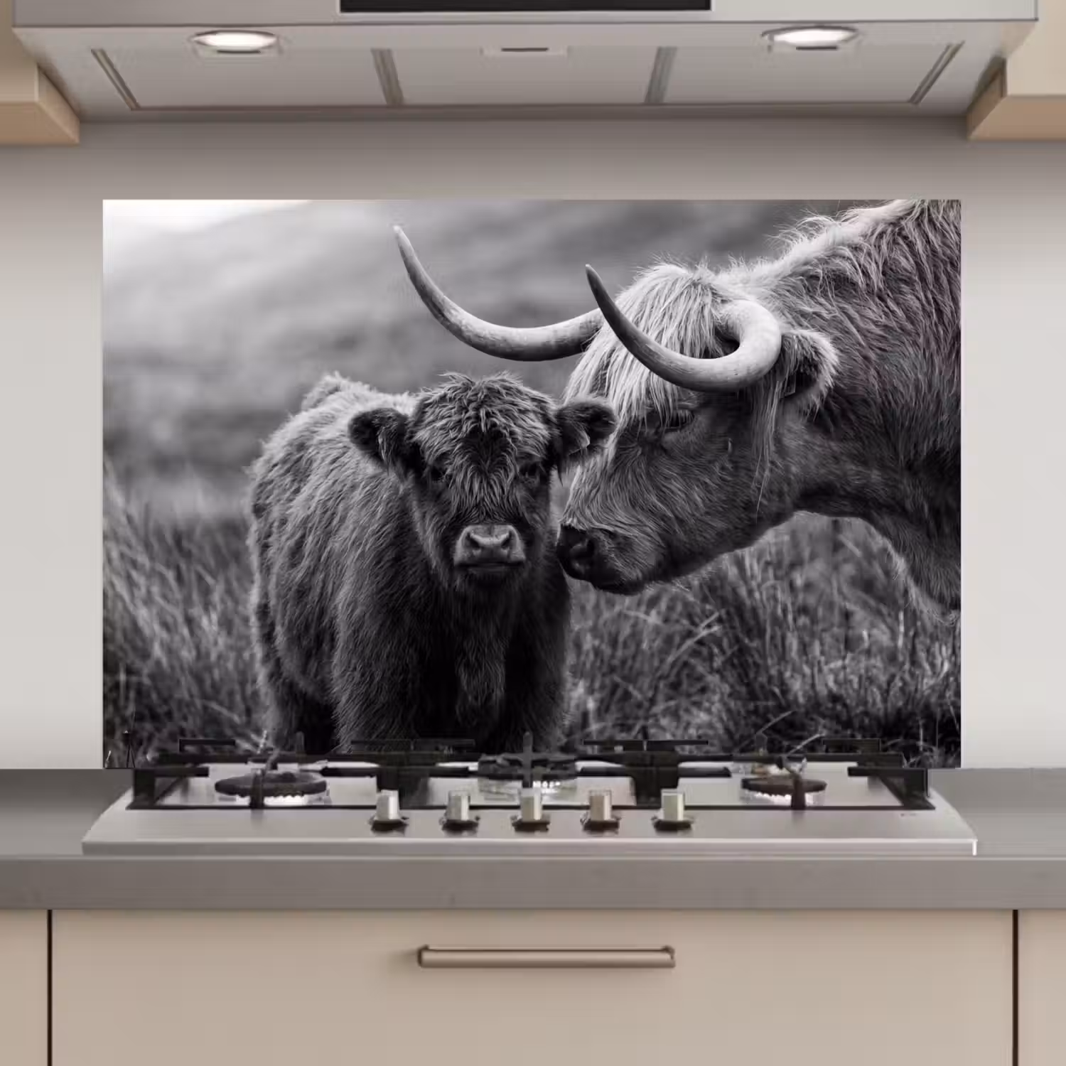Schotse hooglander - Kalf - Zwart - Wit keuken achterwand spatscherm klein -3d_website