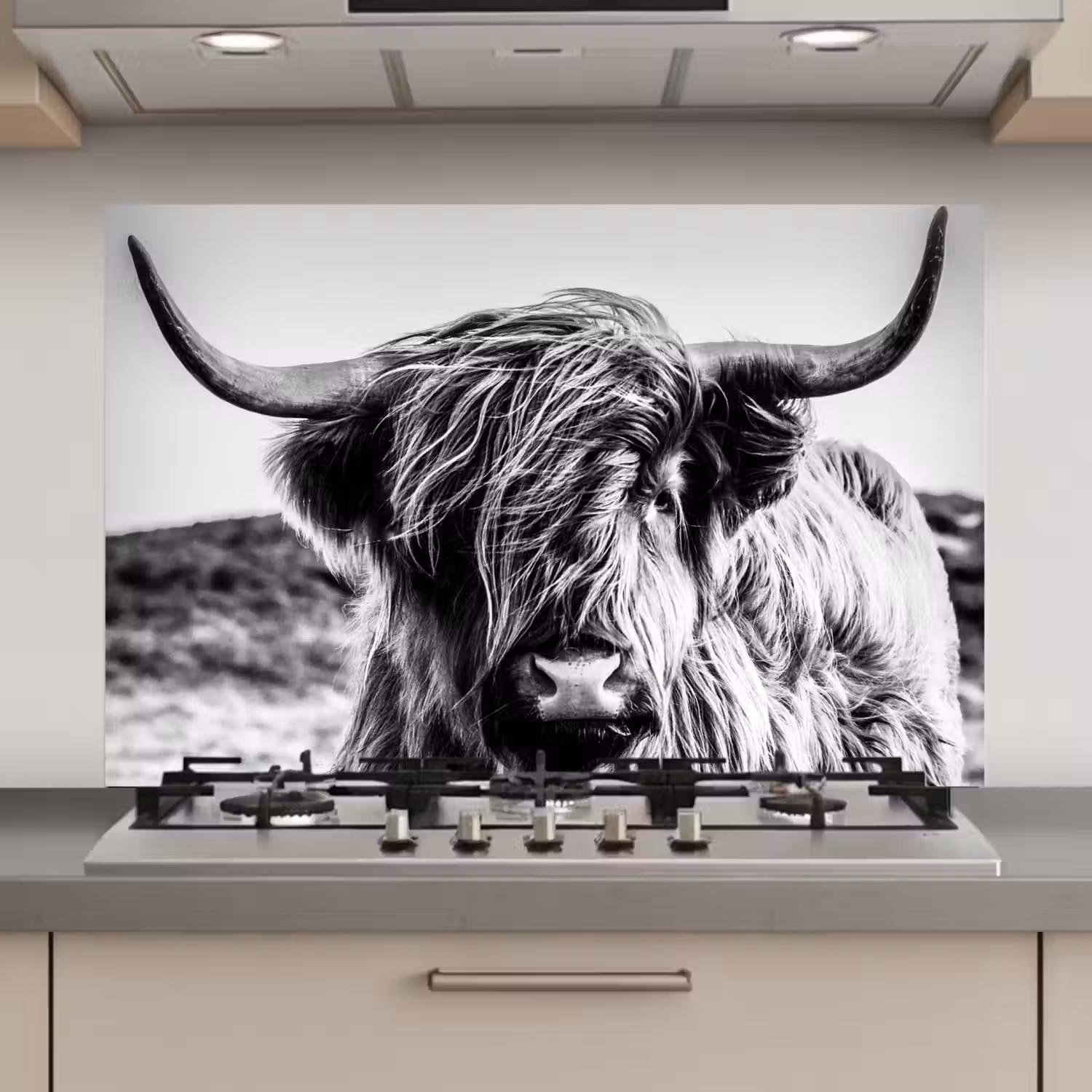 Schotse hooglander - Close up - Horens - Vacht - Zwart Wit keuken achterwand spatscherm klein -3d_website