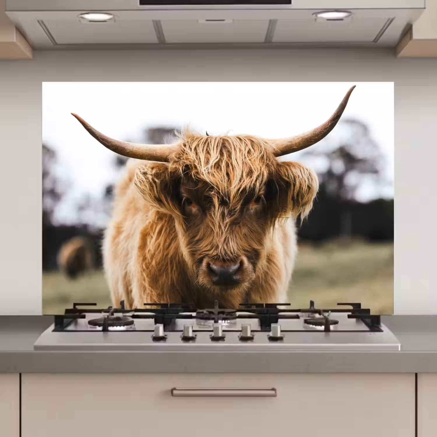 Schotse Hooglander - Koe - Gras - Dieren - Natuur keuken achterwand spatscherm klein -3d_website