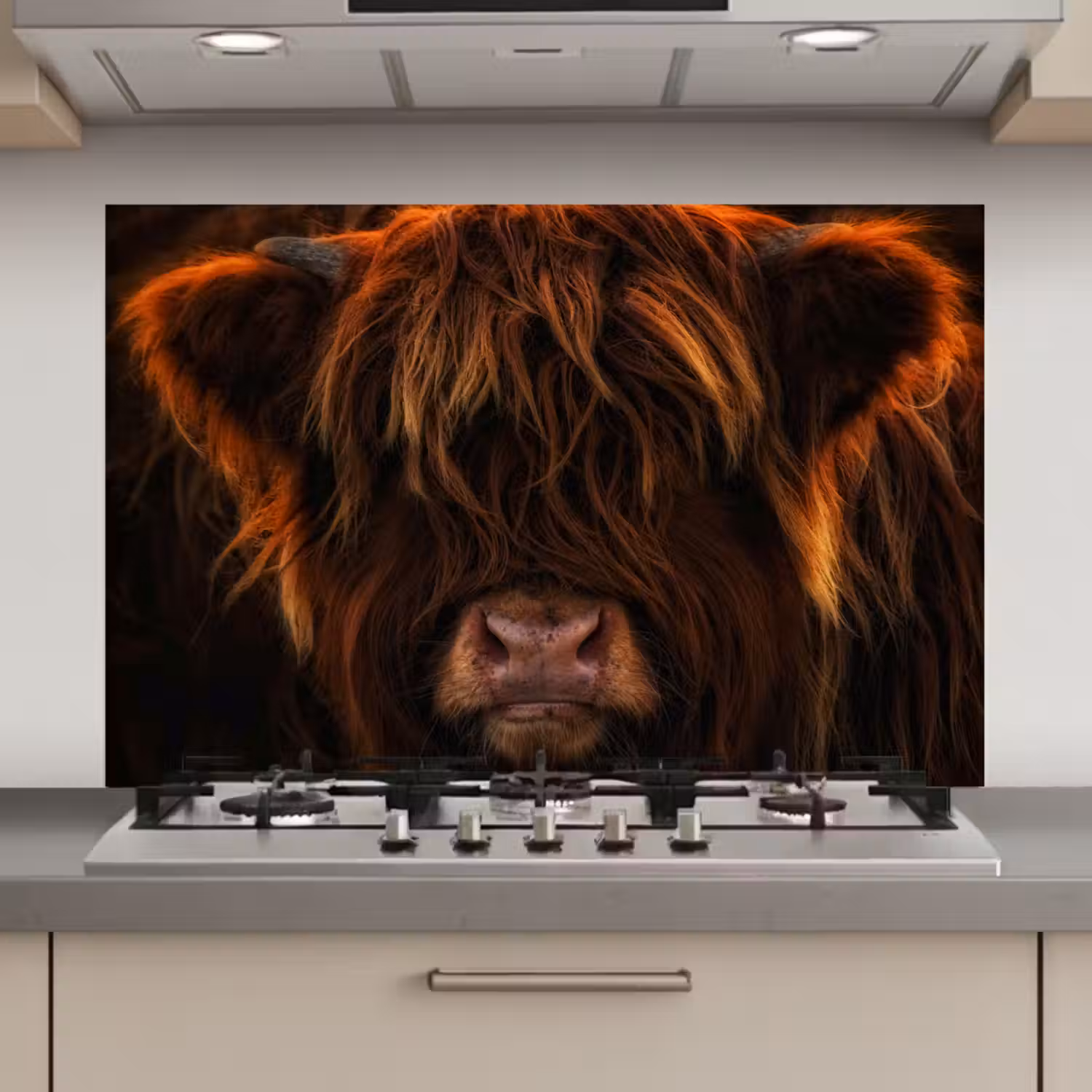 Schotse Hooglander - Koe - Portret - Dieren keuken achterwand spatscherm klein -3d_website