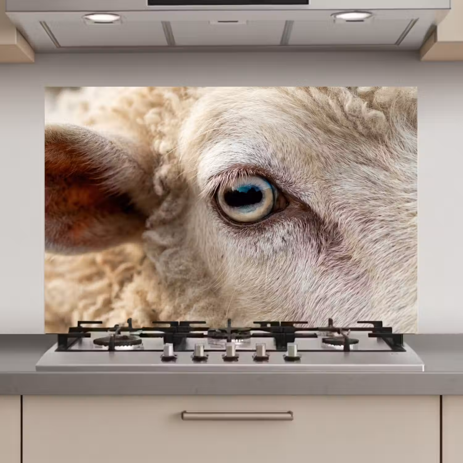 Schaap - Oog - Wit keuken achterwand spatscherm klein -3d_website