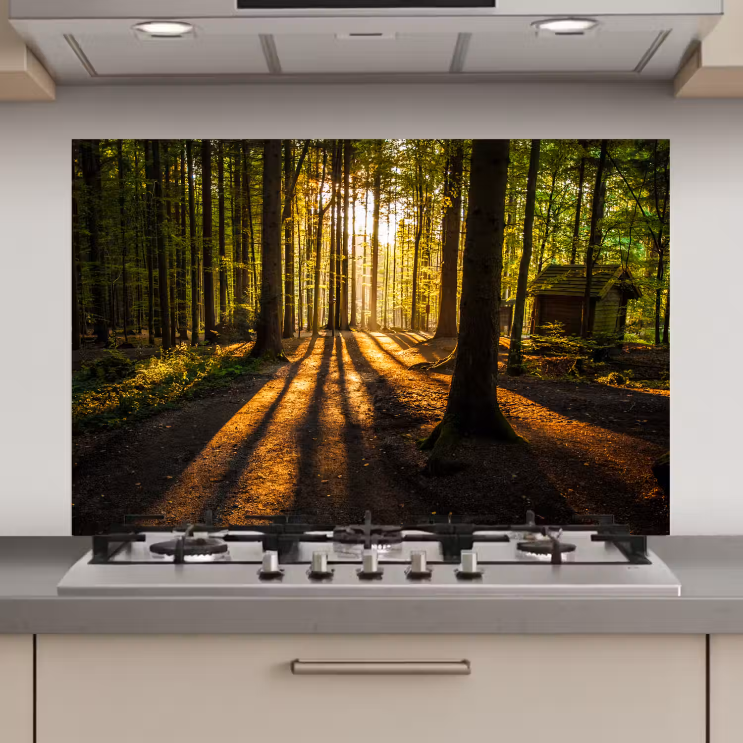 Zon - Bomen - Bos - Landschap - Natuur keuken achterwand spatscherm klein -3d_website