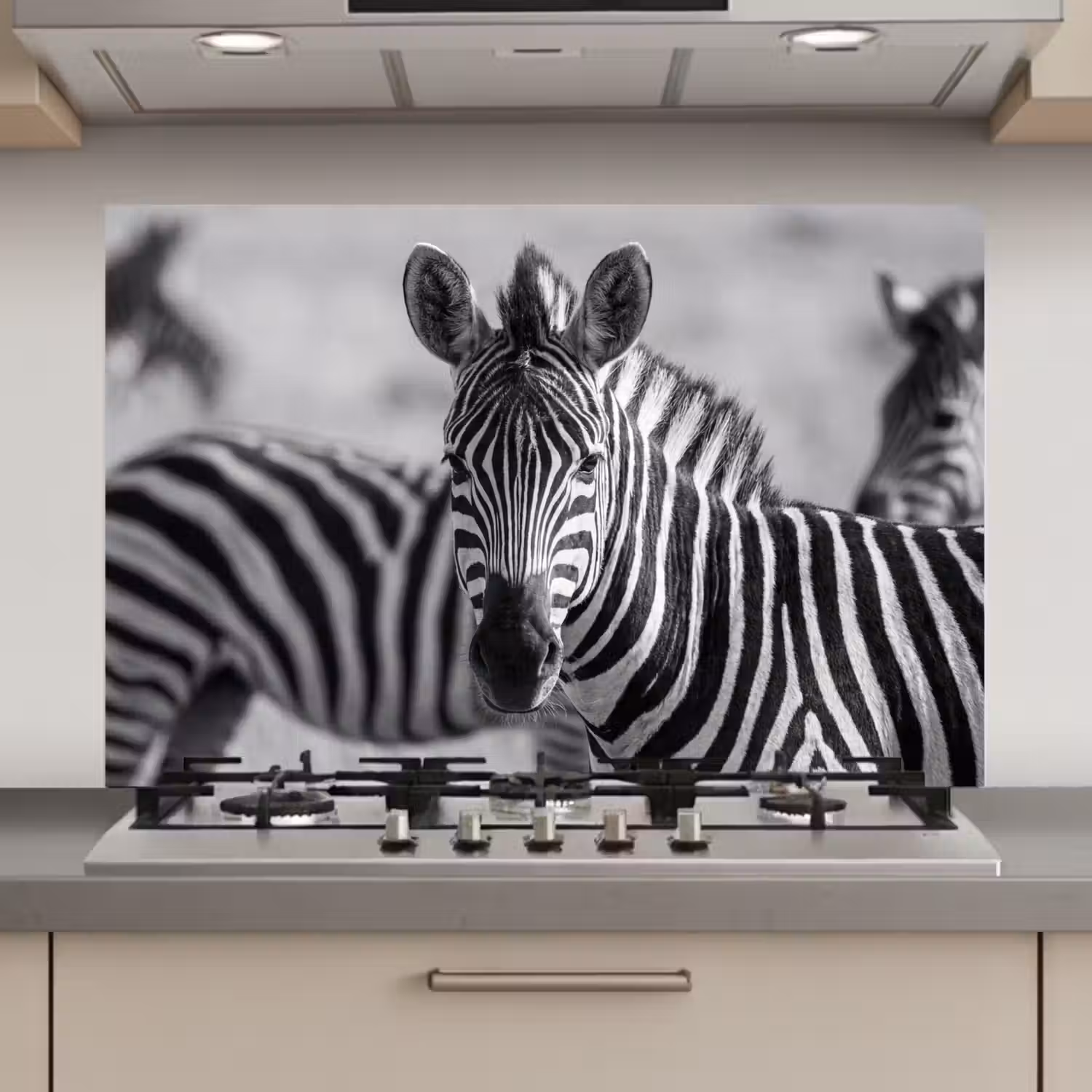 Zebra's - Zwart - Wit keuken achterwand spatscherm klein -3d_website