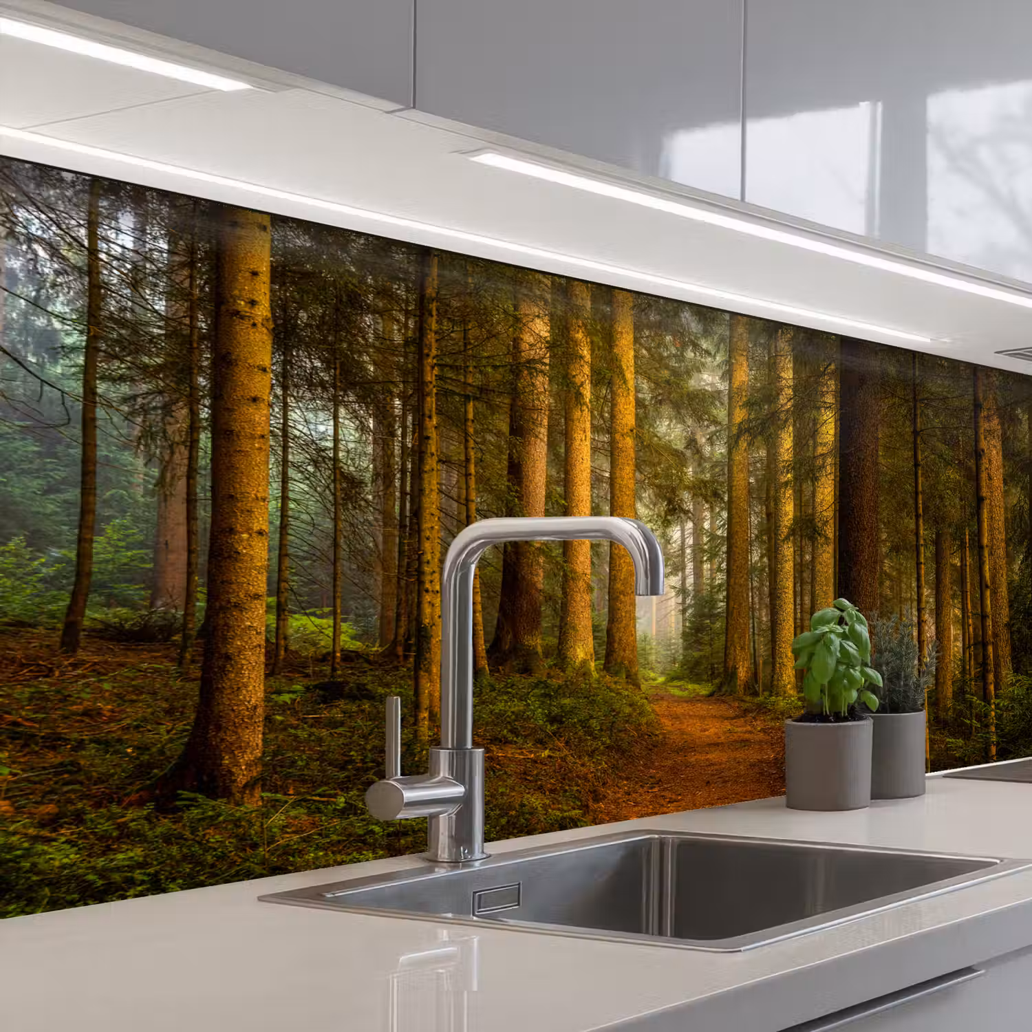 Bos - Natuur - Bomen - Landschap - Bladeren keuken achterwand sample klein -3d_EN