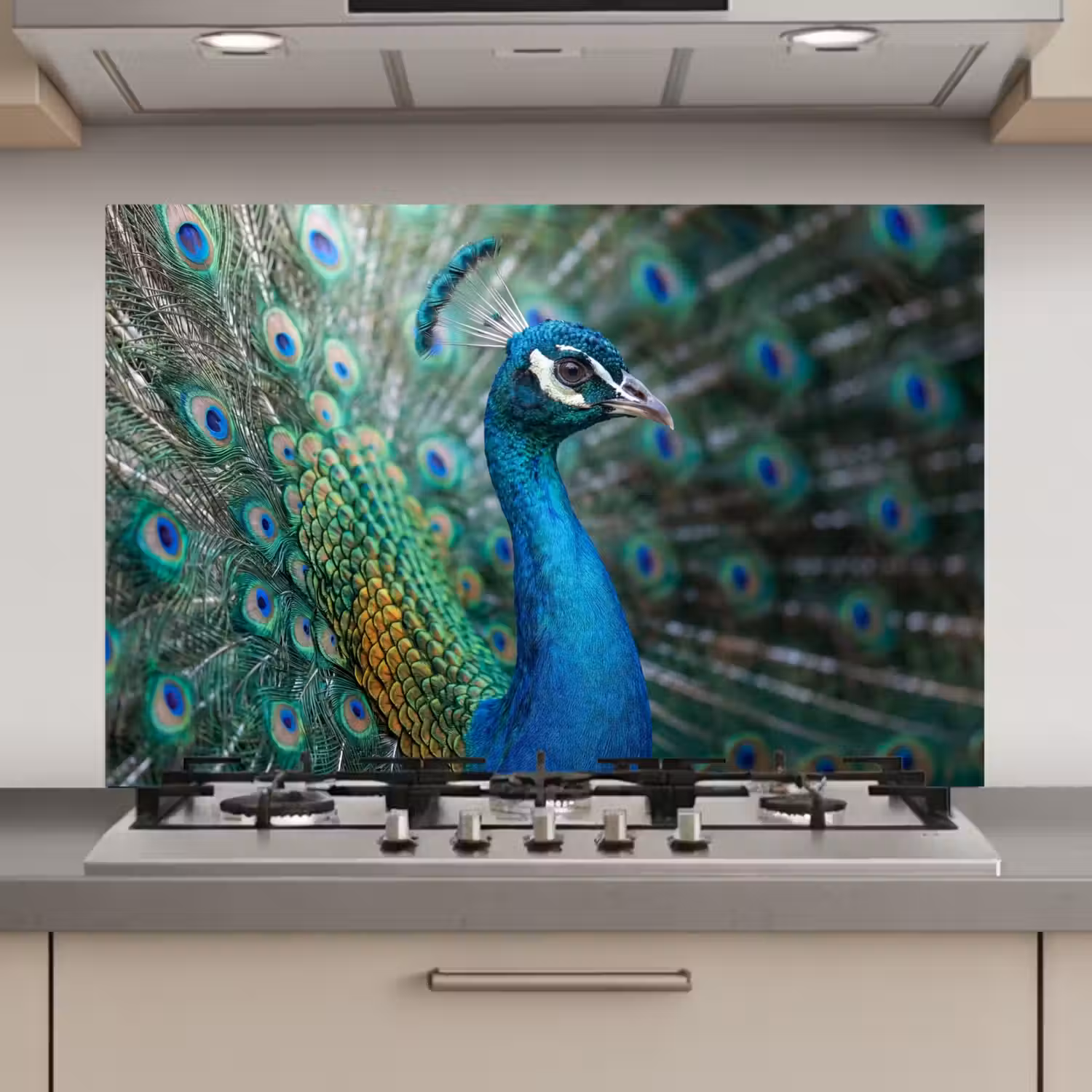 Pauw - Veren - Blauw keuken achterwand 2 middel zz_3dshopping