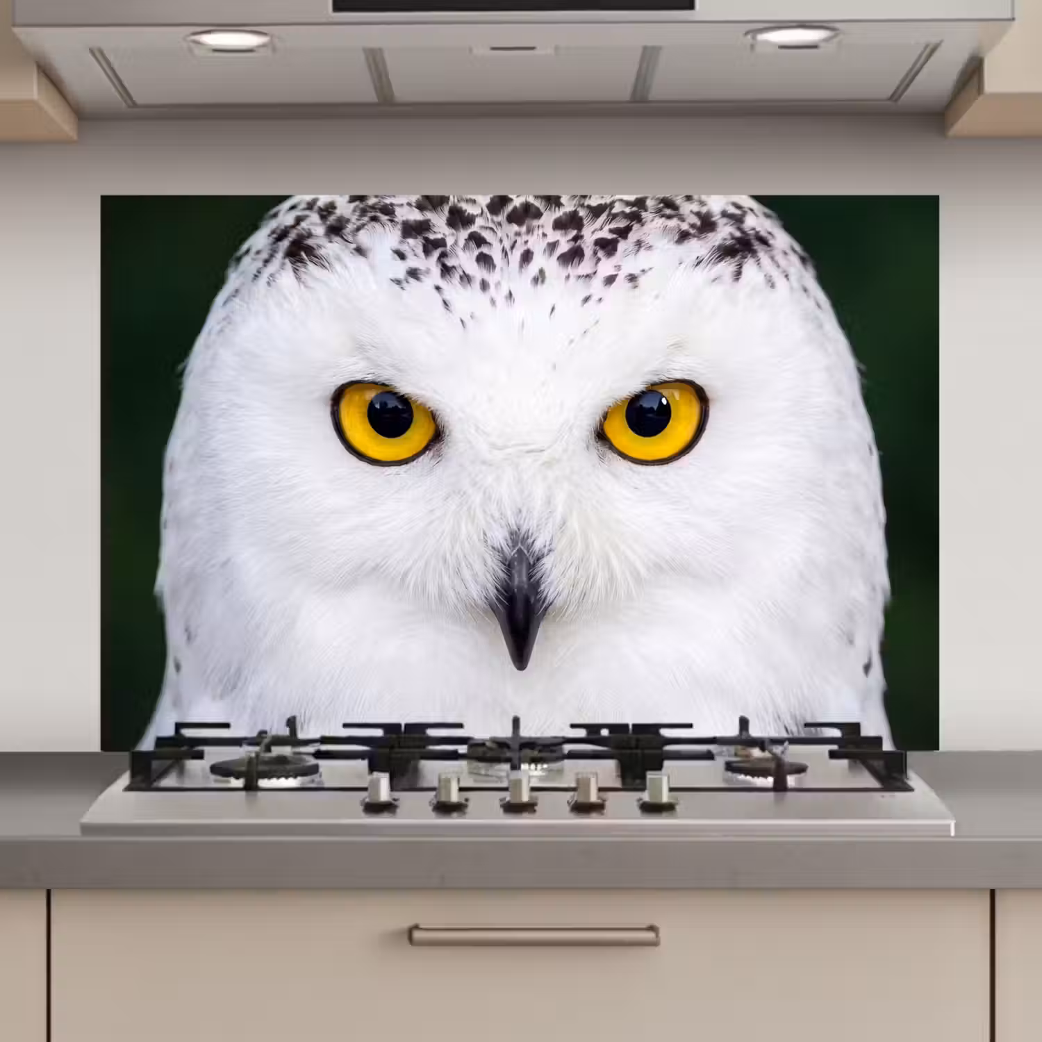 Sneeuwuil - Portret - Geel keuken achterwand 2 middel zz_3dshopping