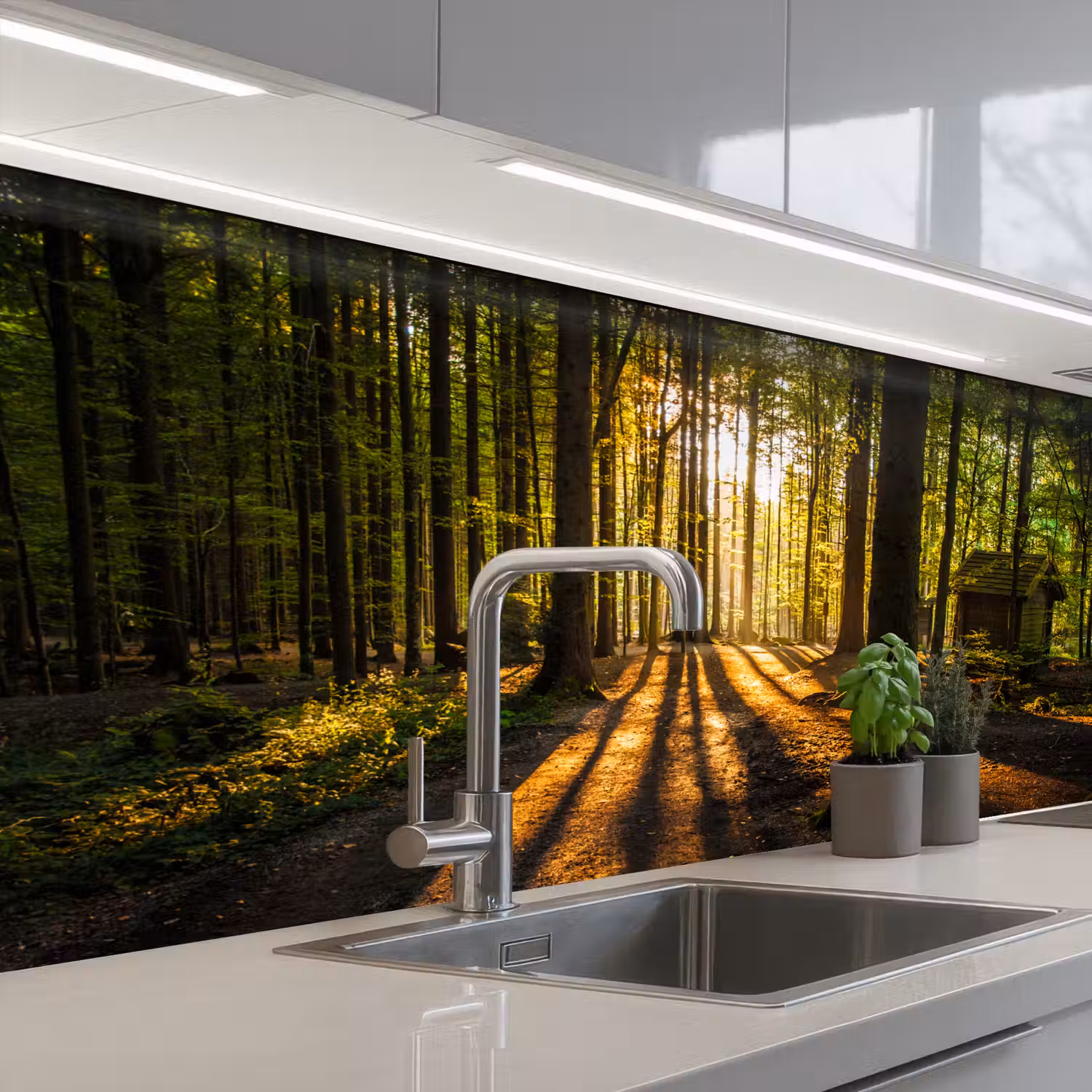 Zon - Bomen - Bos - Landschap - Natuur keuken achterwand sample klein -3d_EN