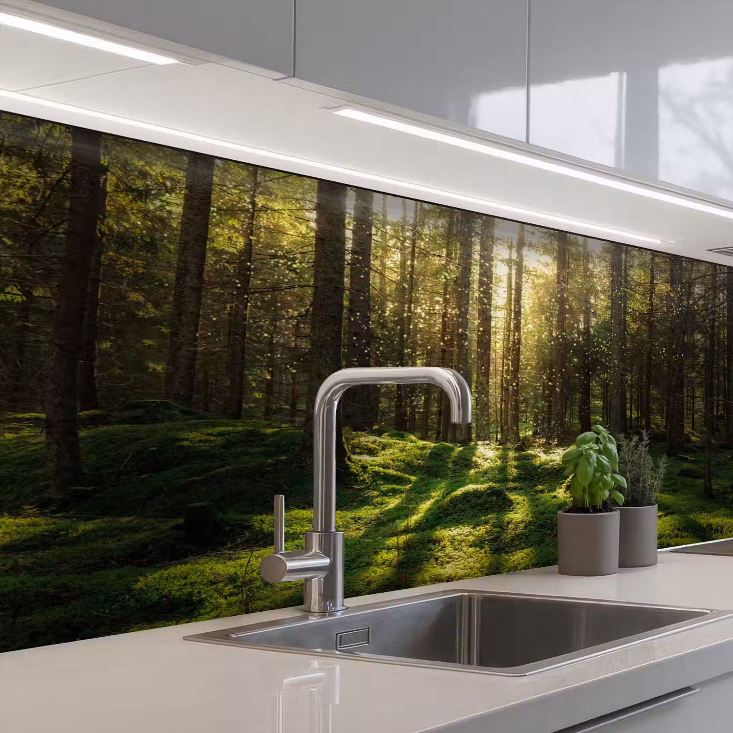 Bomen - Bos - Mos - Planten - Zon - Natuur keuken achterwand sample klein -3d_EN
