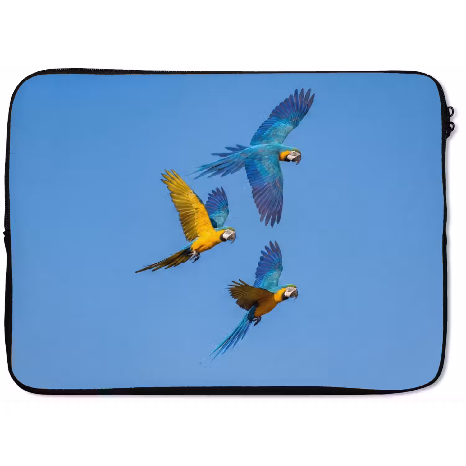 Papagaai - Vliegen - Blauw - Geel laptophoes neopreen klein -zkaufland3dotto
