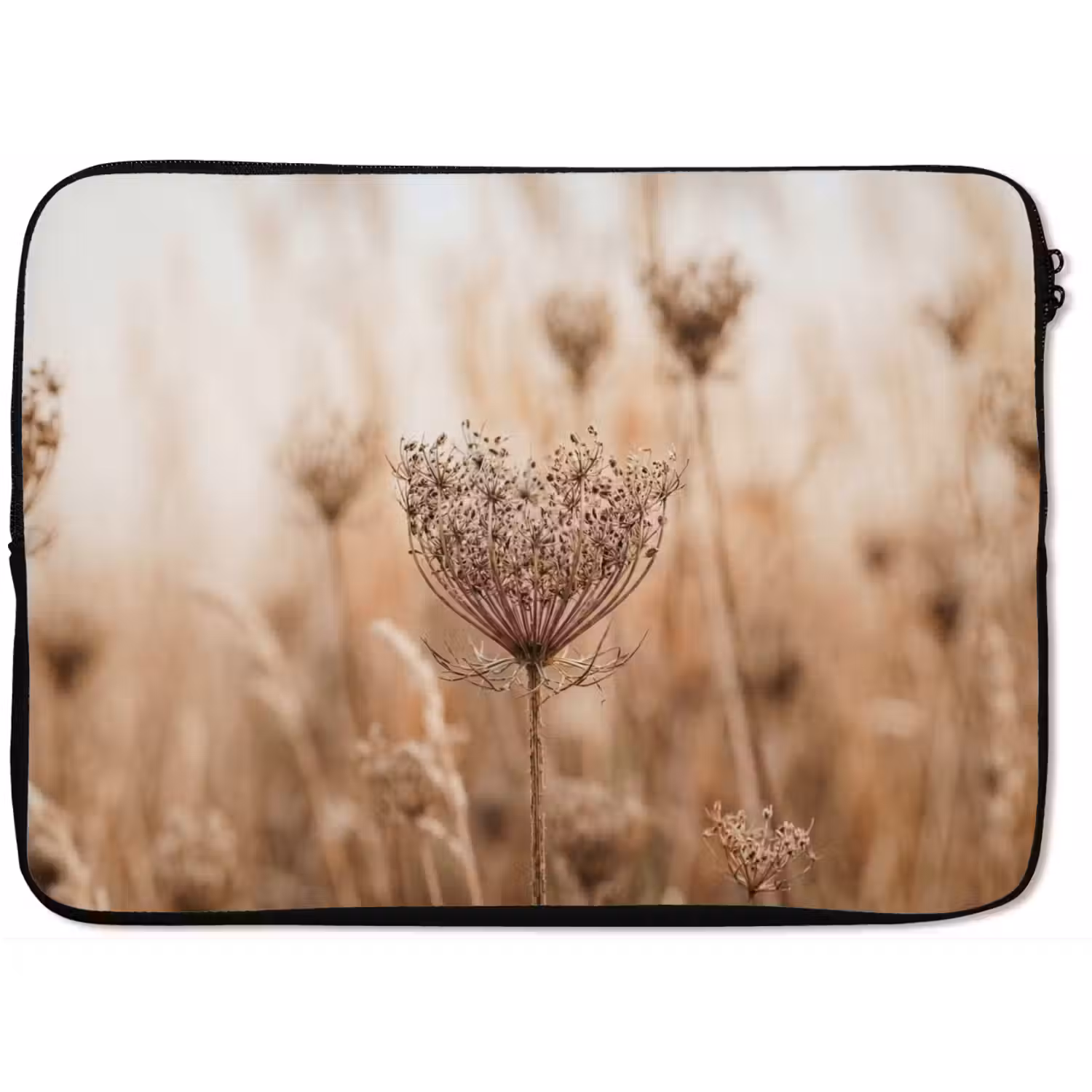 Schermbloem - Droogbloem - Winter - Beige - Minimalistisch laptophoes neopreen klein -zkaufland3dotto