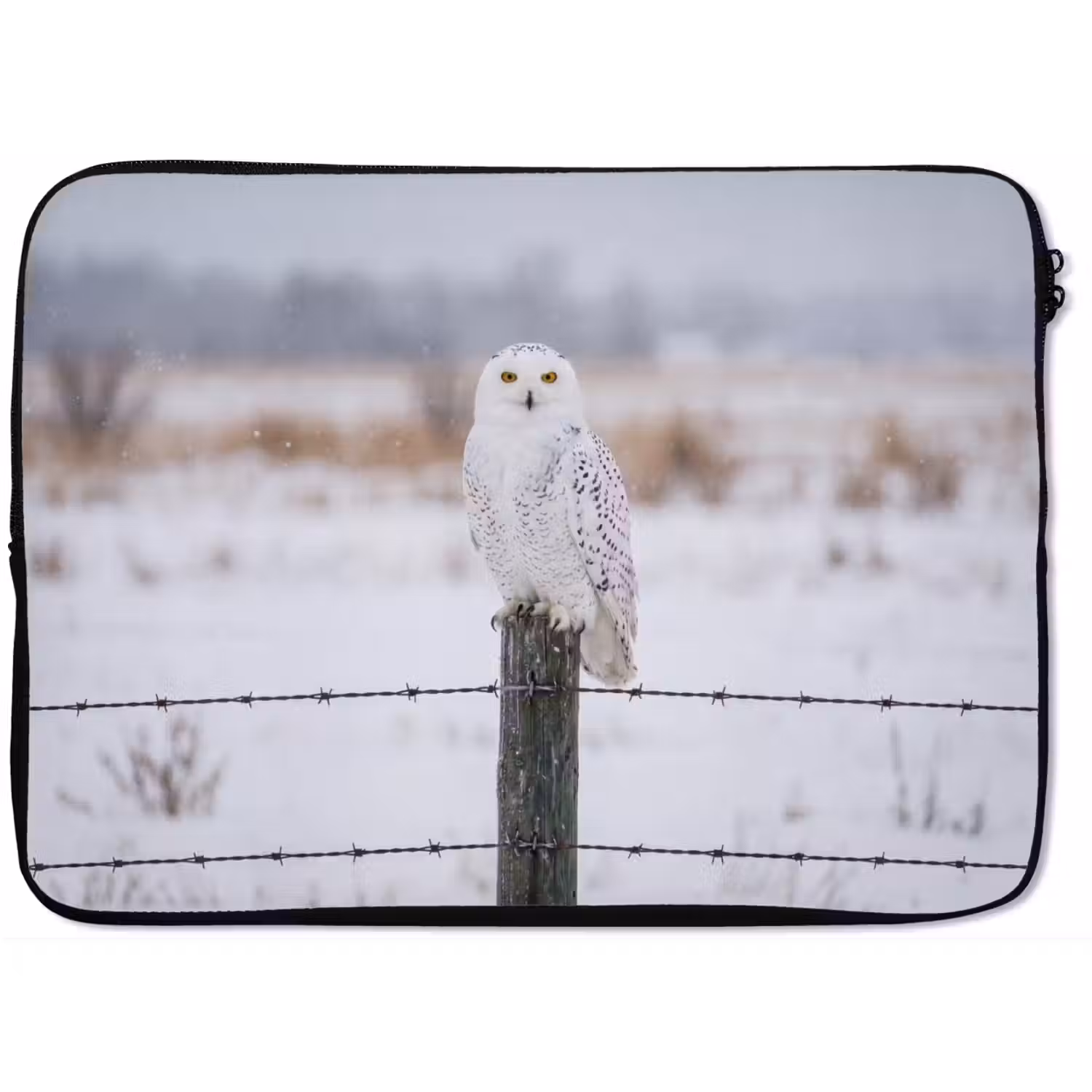 Sneeuwuil - Hek - Sneeuw - Wit laptophoes neopreen klein -zkaufland3dotto