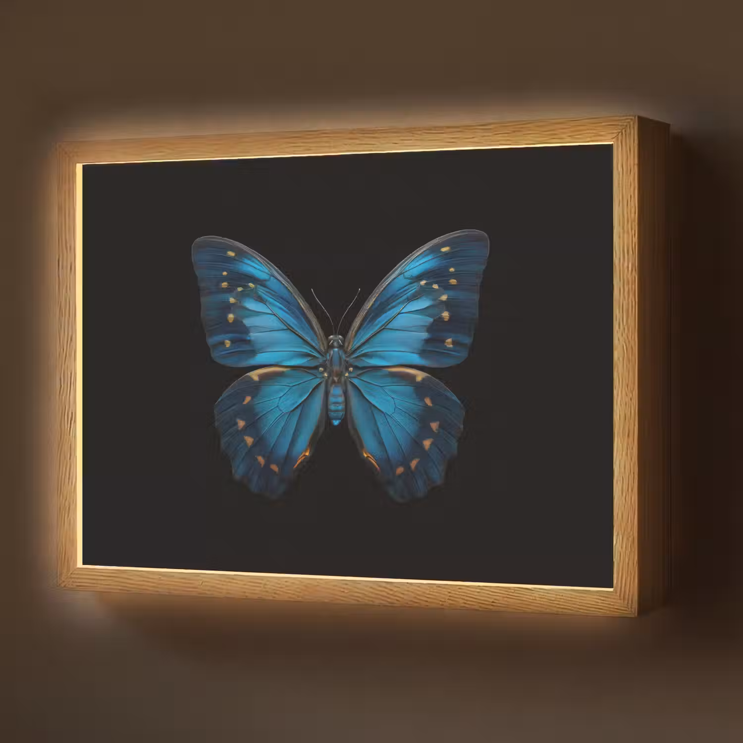Vlinder - Blauw - Contrast Light Box met batterij (Wandlamp) middel -z3d_website