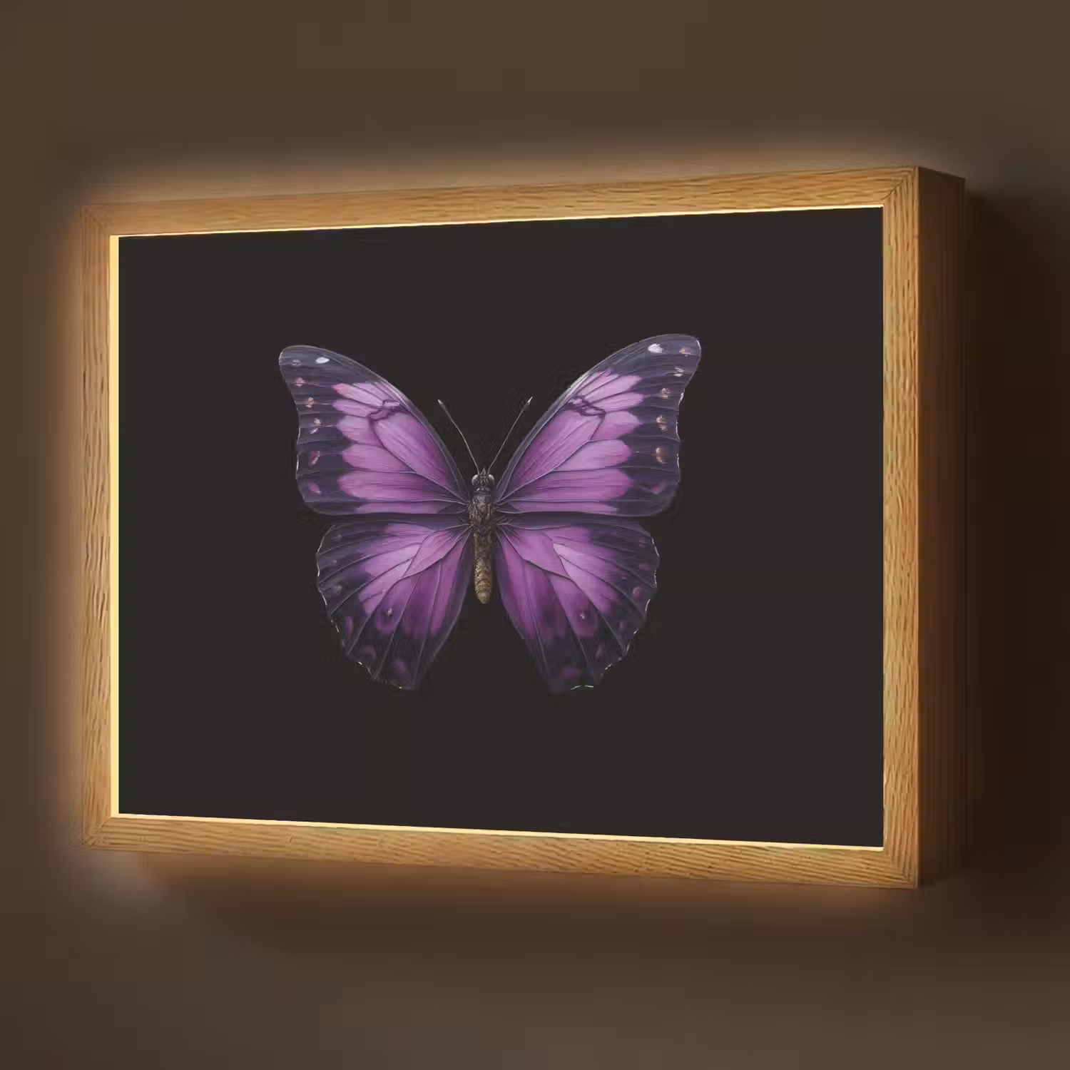 Vlinder - Paars - Levendig Light Box met batterij (Wandlamp) middel -z3d_website