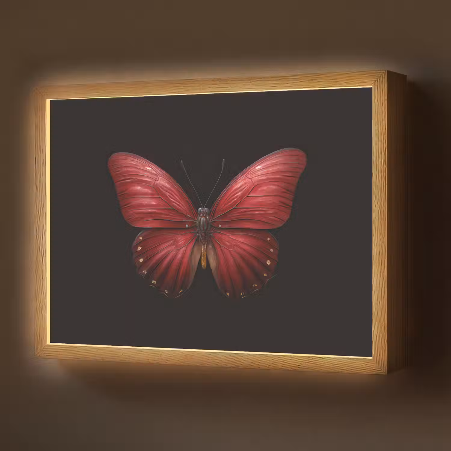 Vlinder - Rood - Minimalistisch Light Box met batterij (Wandlamp) middel -z3d_website