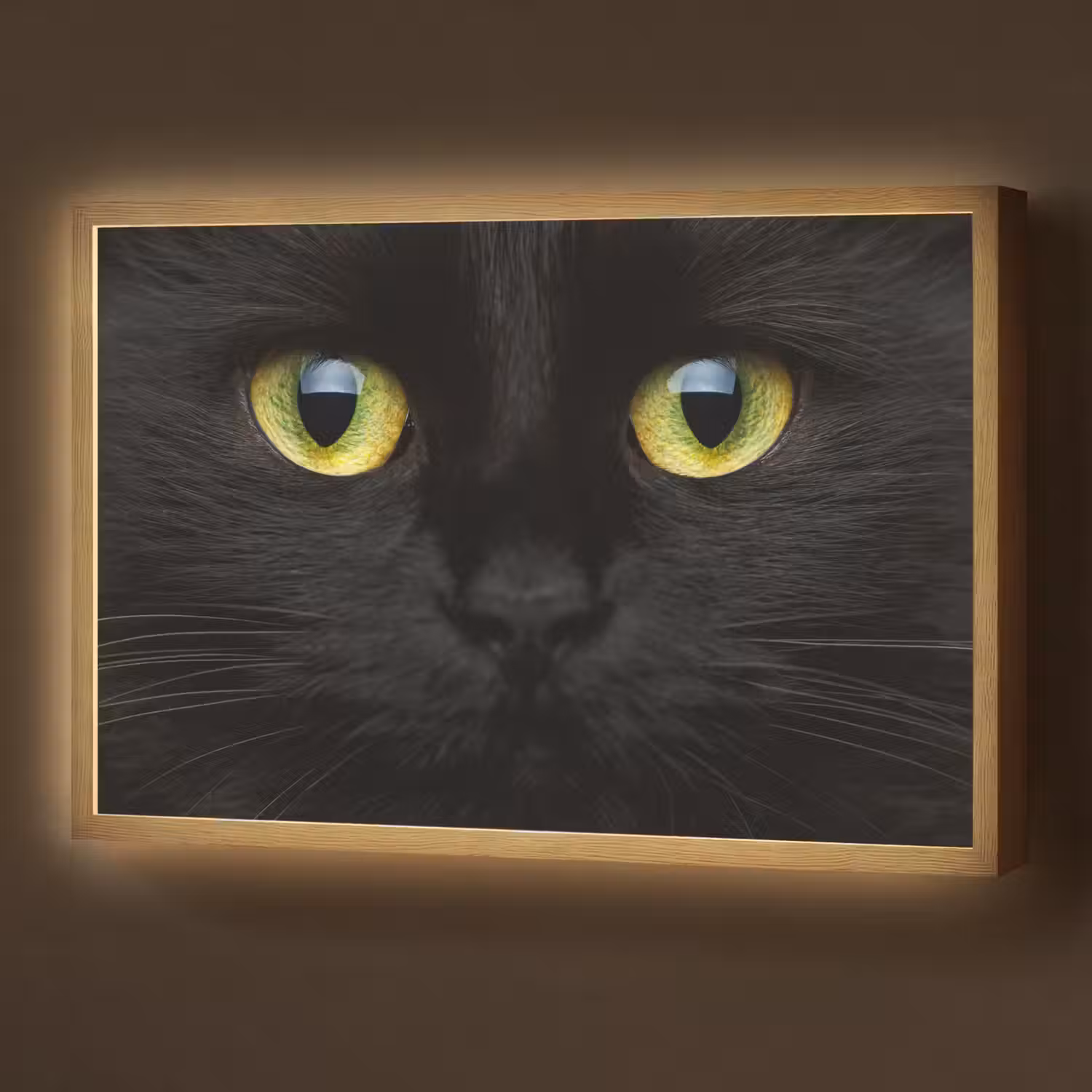 Kat - Zwart - Dieren - Natuur Light Box met batterij (Wandlamp) middel -z3d_website