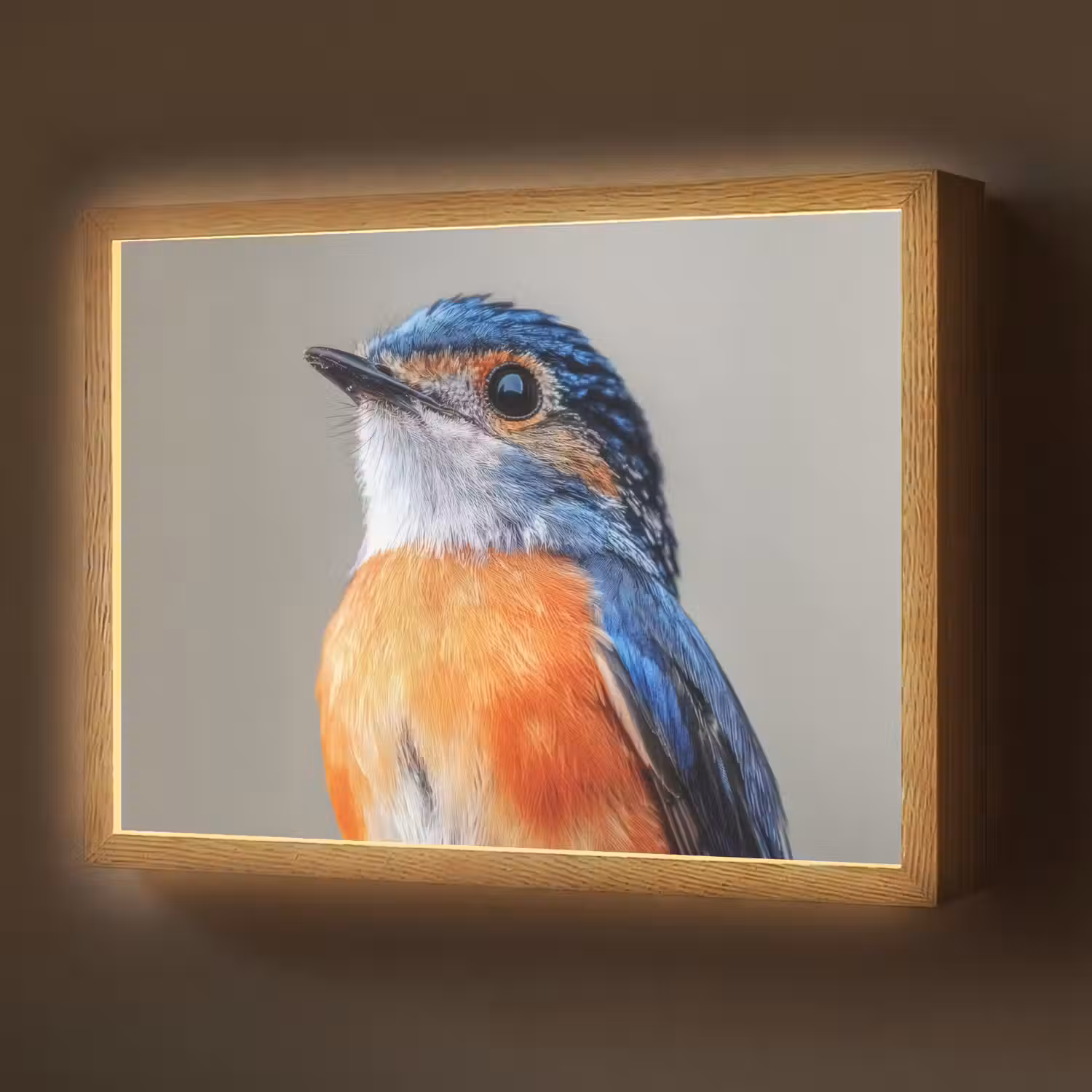 Kleurrijk - Vogeltje - Veren - Blauw Light Box met batterij (Wandlamp) middel -z3d_website