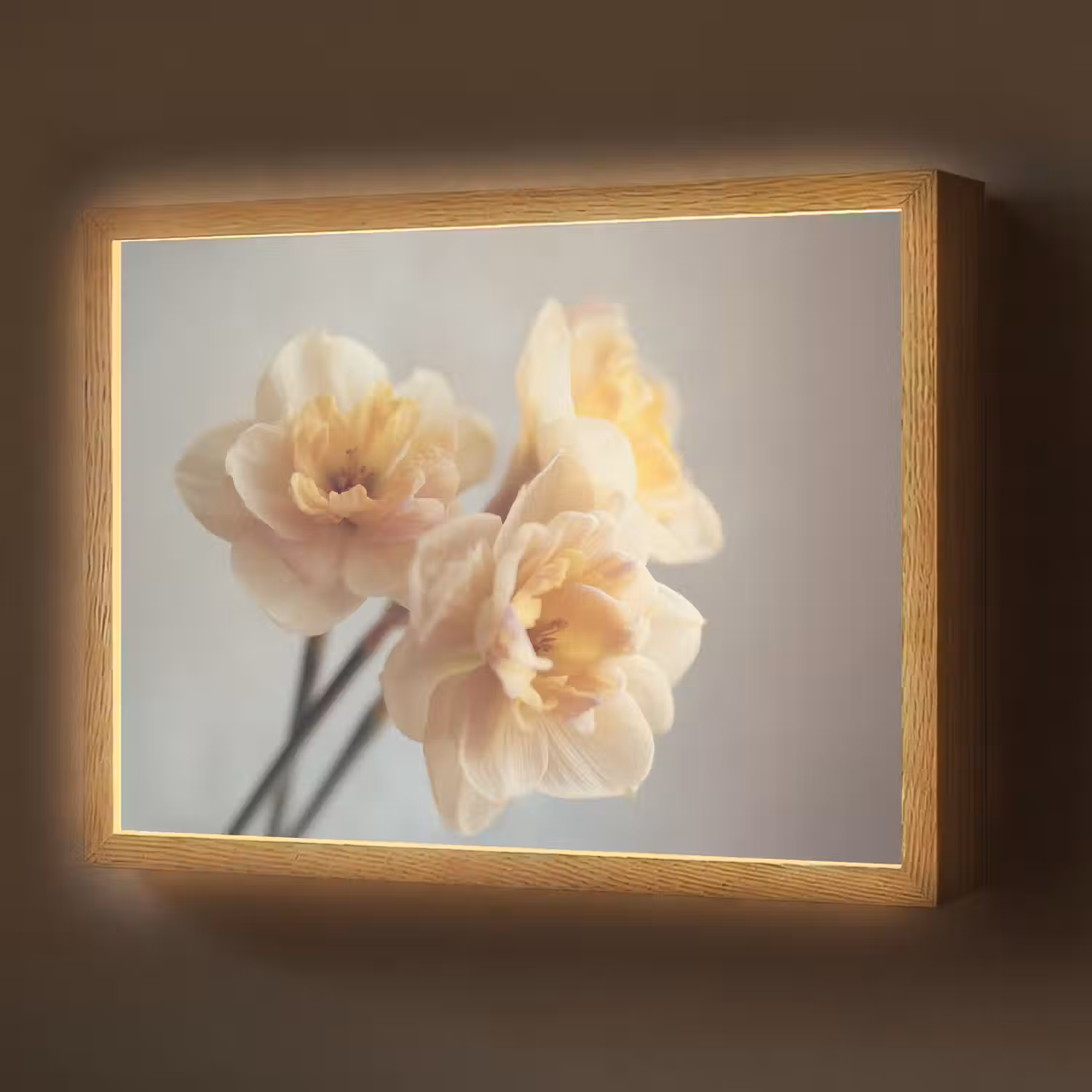 Narcissen - Geel - Bloemblaadjes Light Box met batterij (Wandlamp) middel -z3d_website