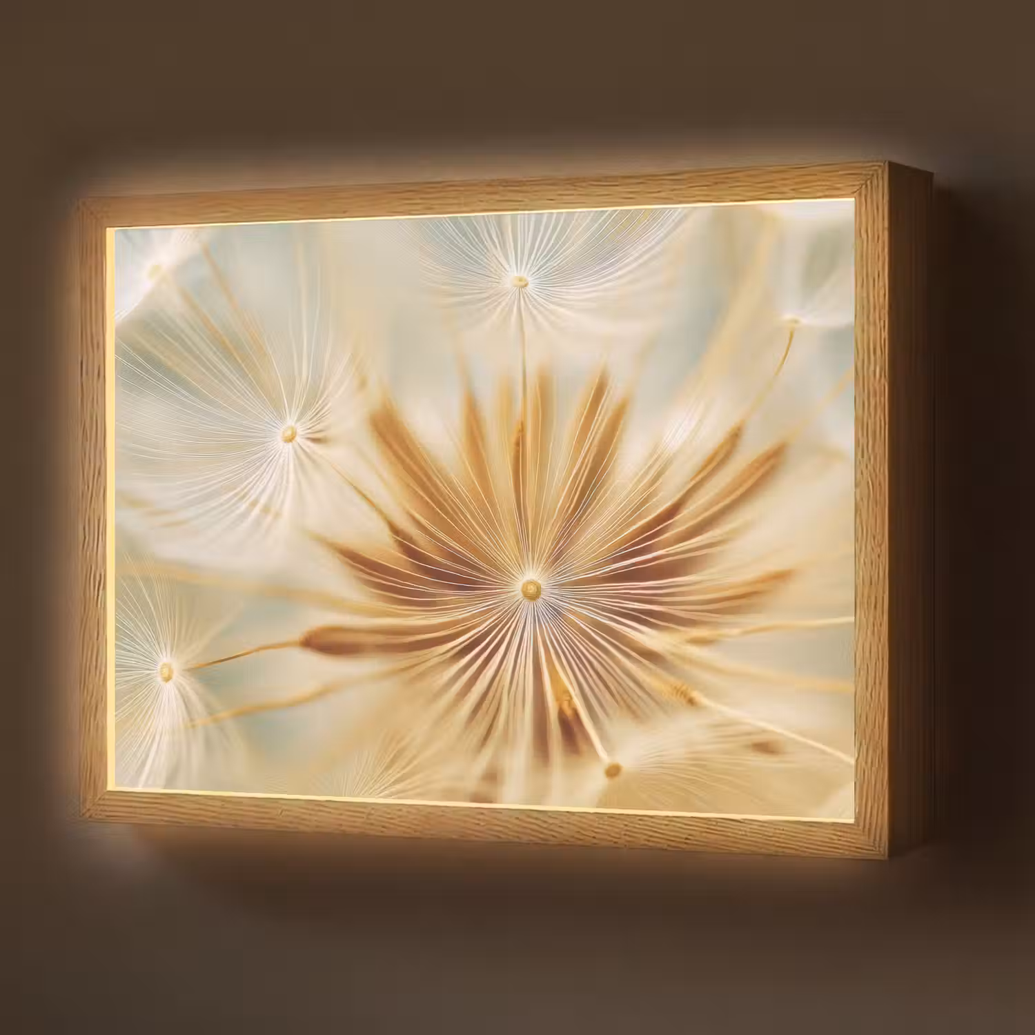 Paardenbloem - Beige - Abstract - Modern - Natuur Light Box met batterij (Wandlamp) middel -z3d_website