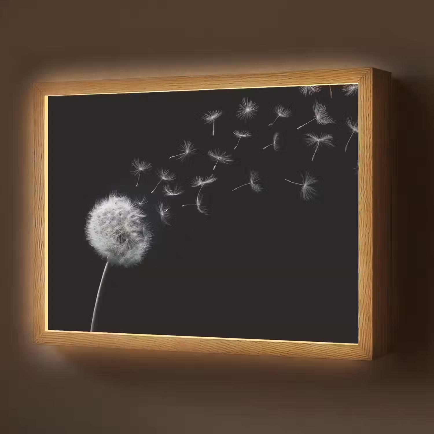 Paardenbloem - Zwart - Natuur Light Box met batterij (Wandlamp) middel -z3d_website