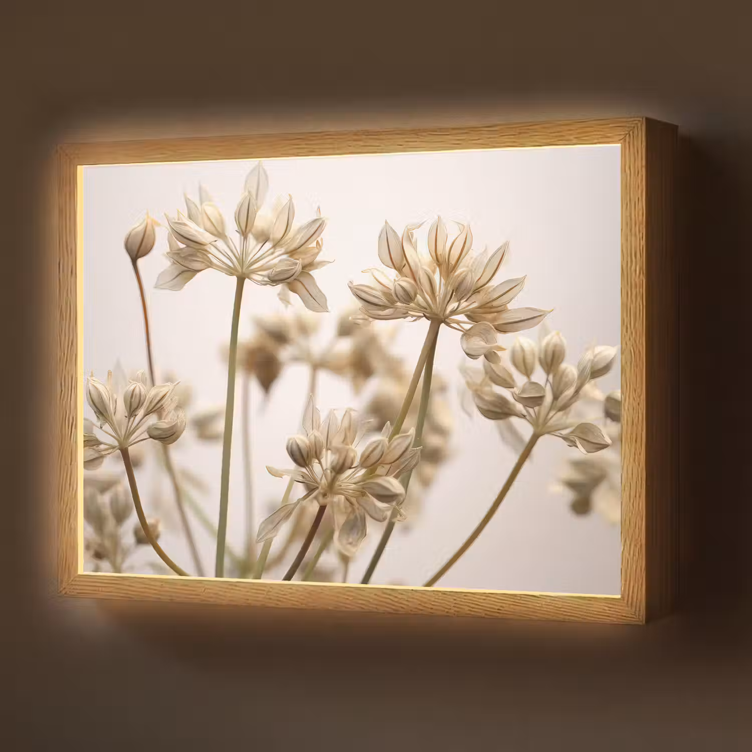 Droogbloemen - Beige - Wit - Planten Light Box met batterij (Wandlamp) middel -z3d_website