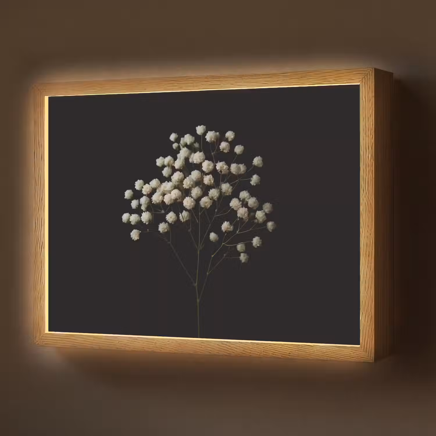 Gipskruid - Bloemetjes - Wit - Minimalistisch Light Box met batterij (Wandlamp) middel -z3d_website