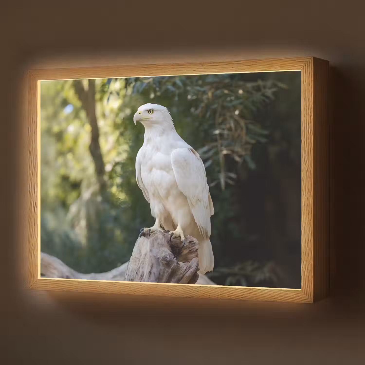 Arend - Hout - Wit - Planten Light Box met batterij (Wandlamp) middel -z3d_website