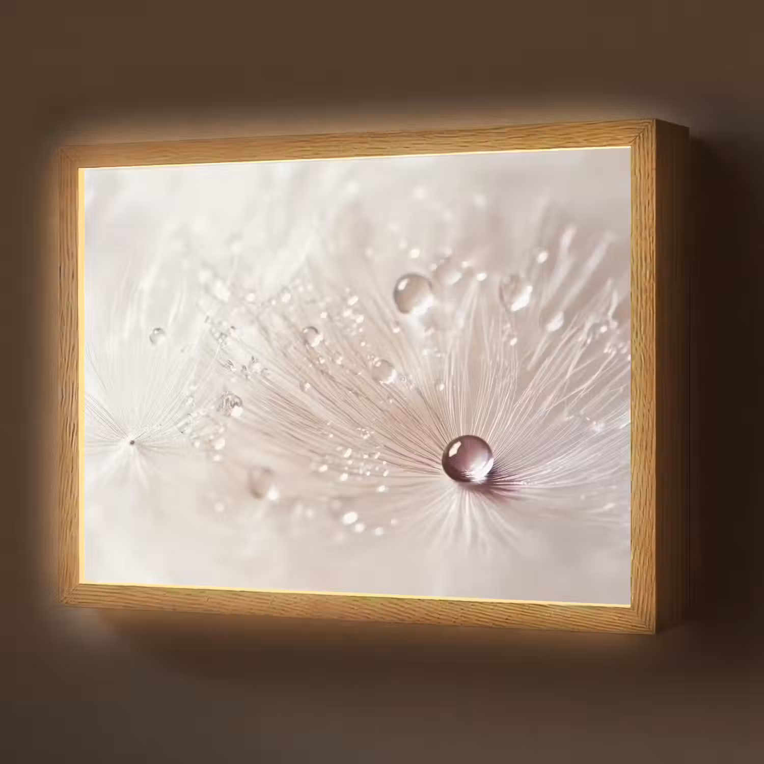 Bloem - Abstract - Wit - Water - Natuur Light Box met batterij (Wandlamp) middel -z3d_website