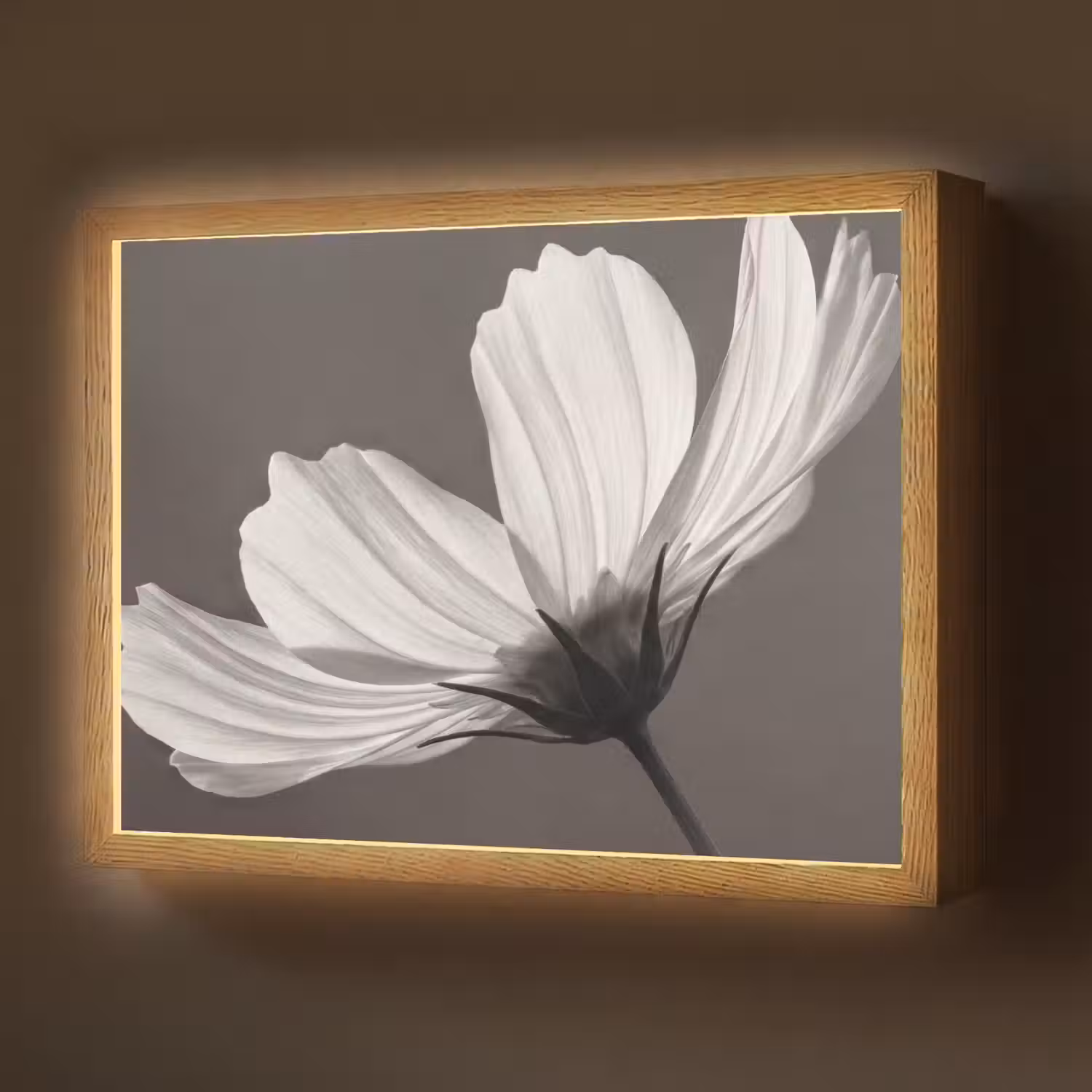 Bloem - Minimalistisch - Zwart - Wit Light Box met batterij (Wandlamp) middel -z3d_website
