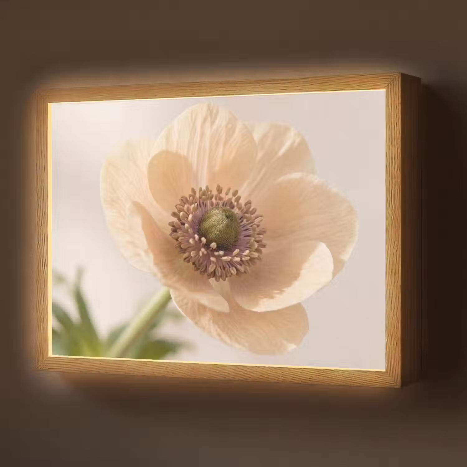 Bloem - Minimalistisch - Groen Light Box met batterij (Wandlamp) middel -z3d_website