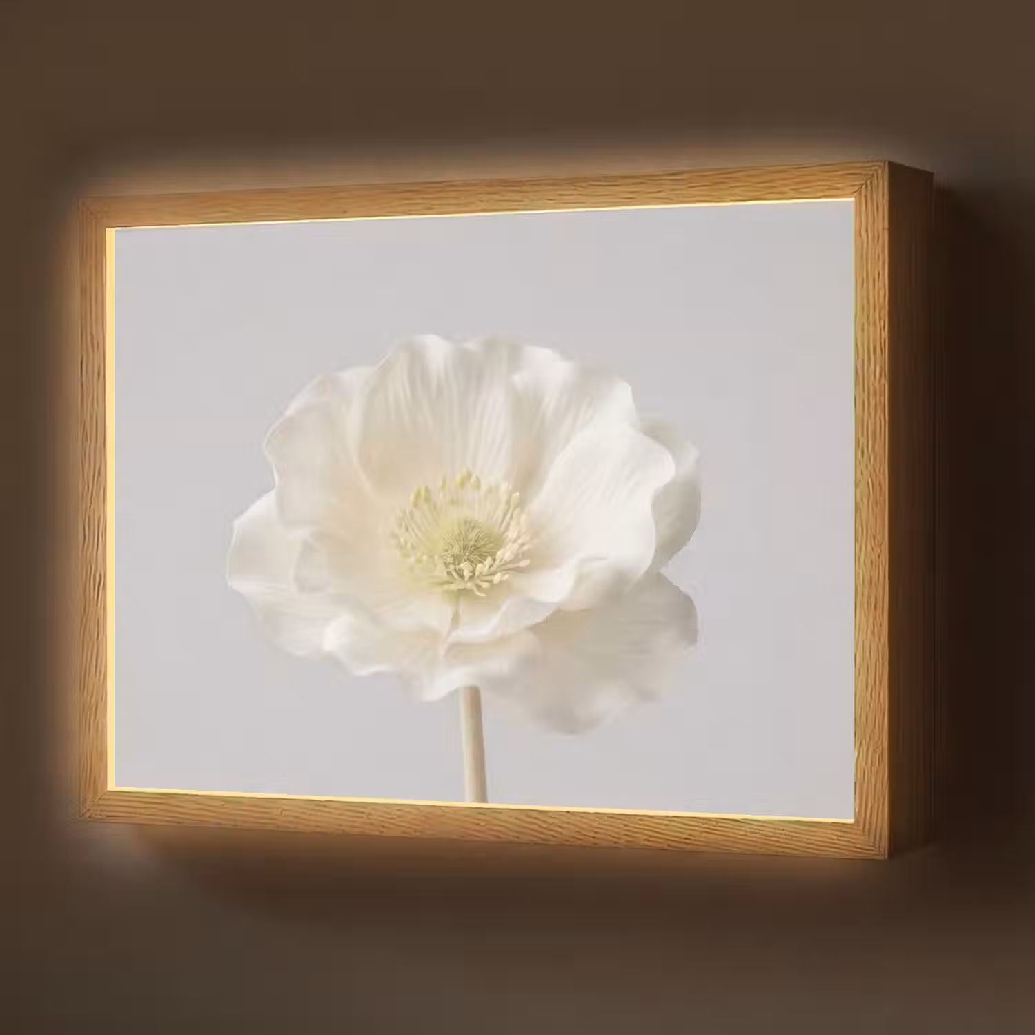Bloem - Minimalistisch -Wit Light Box met batterij (Wandlamp) middel -z3d_website