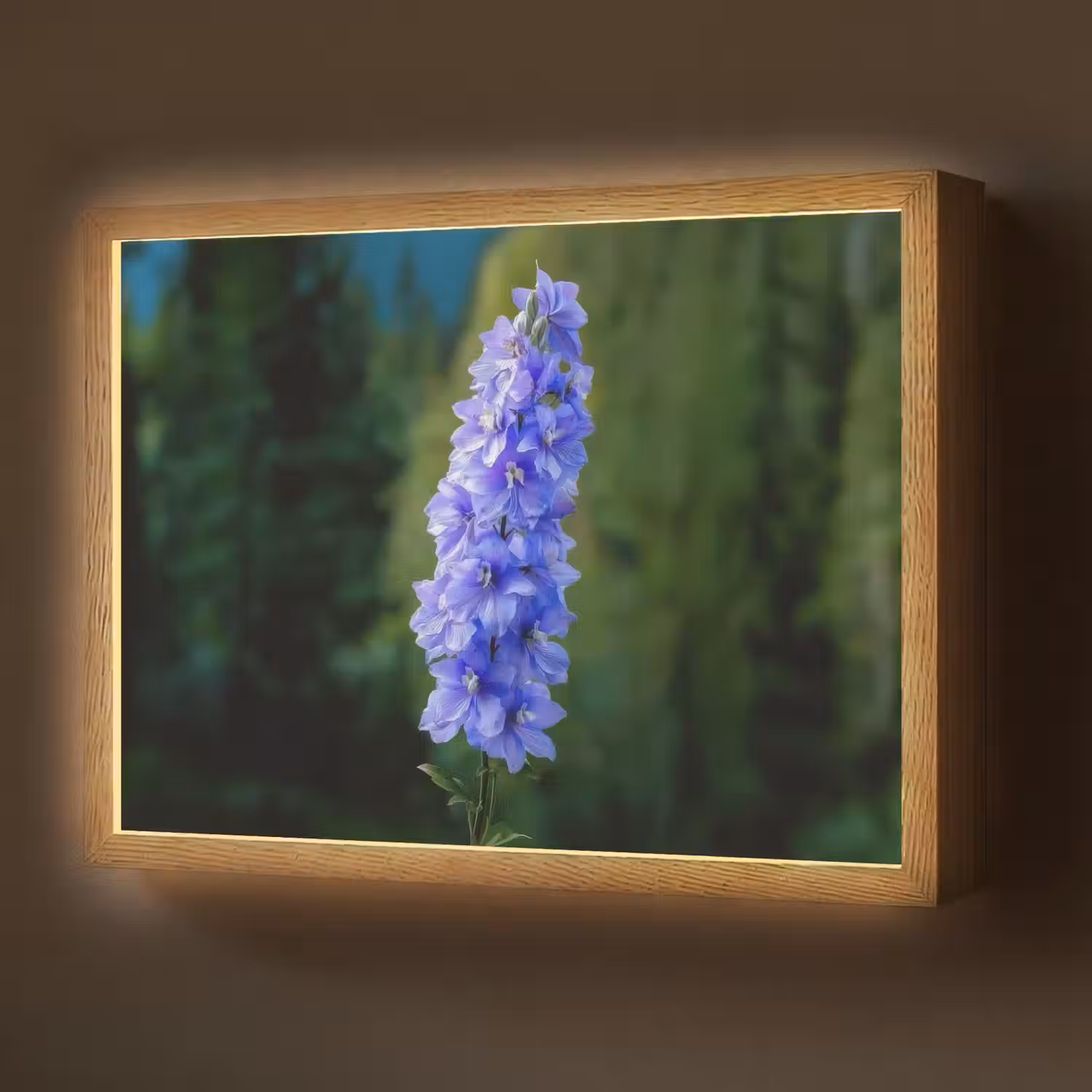 Bloemen - Blauw - Dennenboom Light Box met batterij (Wandlamp) middel -z3d_website
